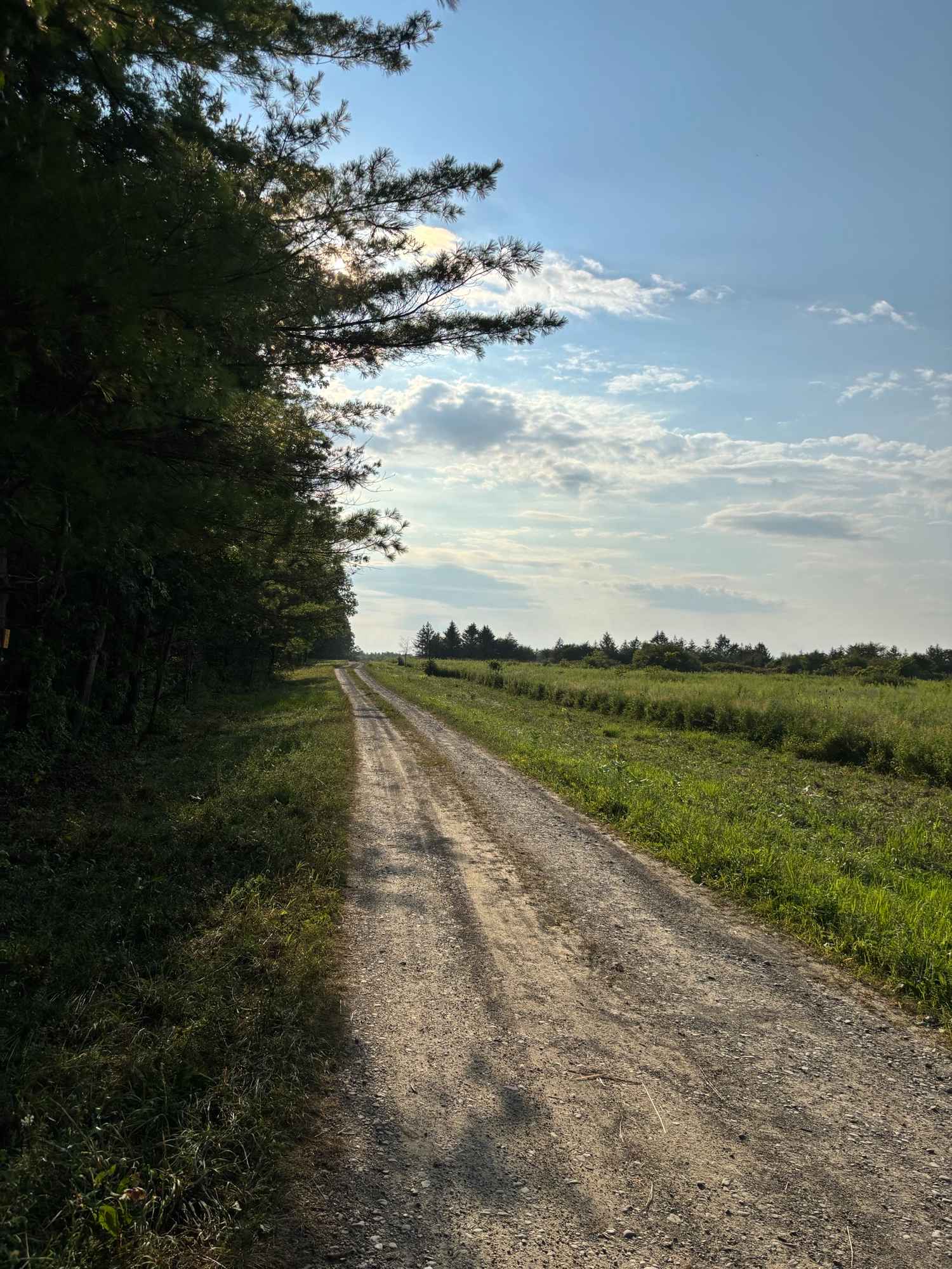 Shaker Access Road East Extension