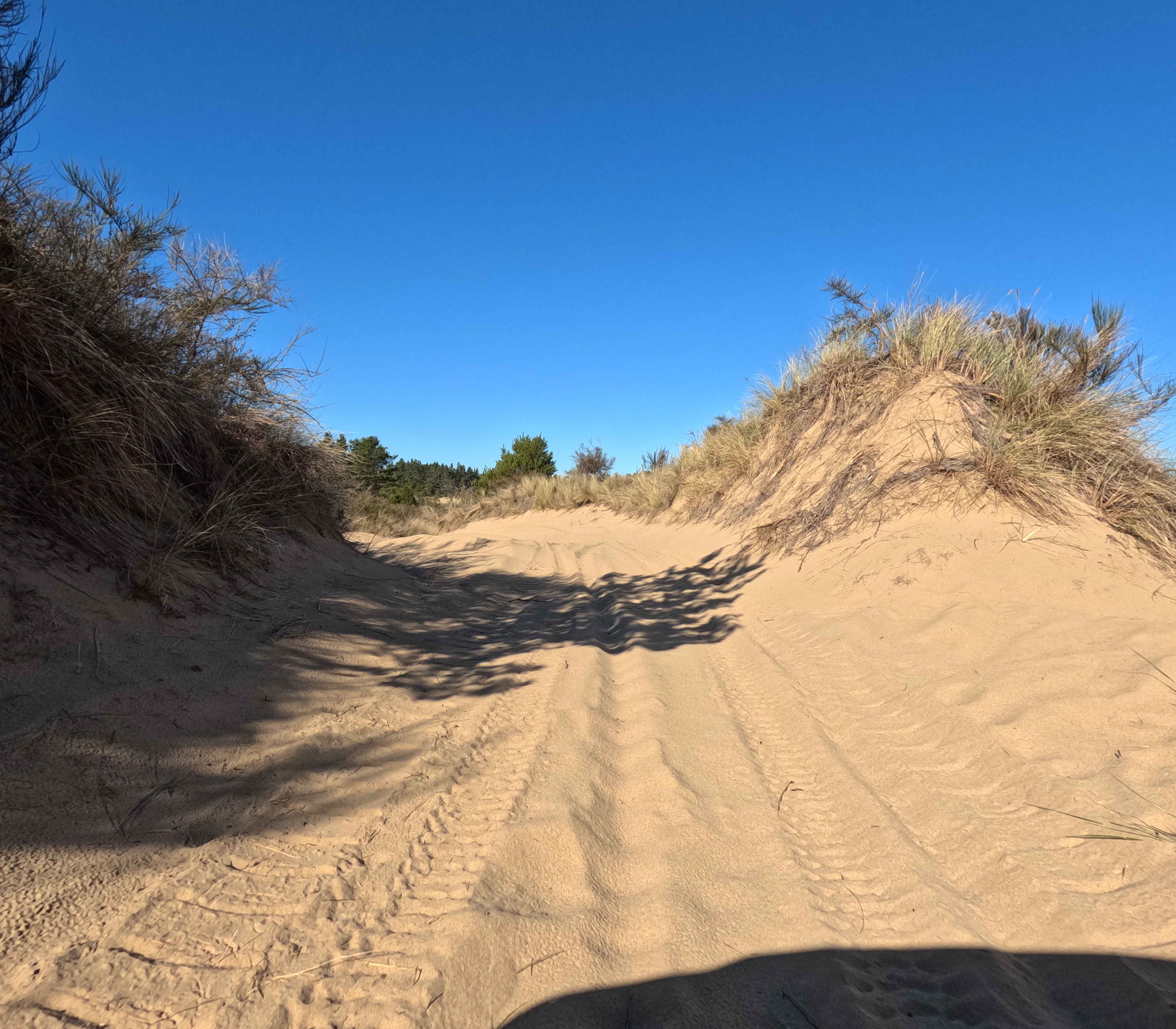 Bark OHV Trail - 1342