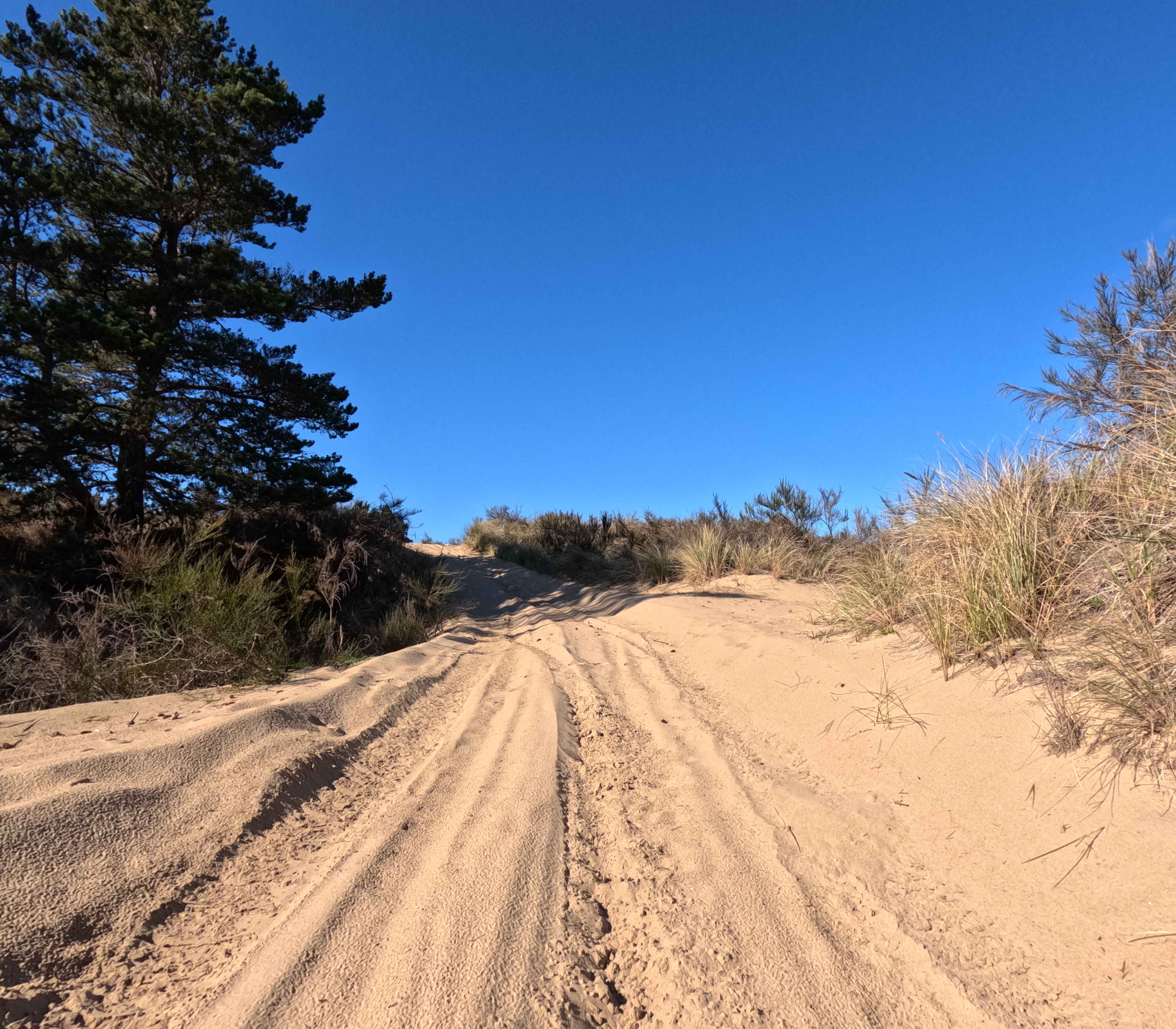 Bark OHV Trail - 1342