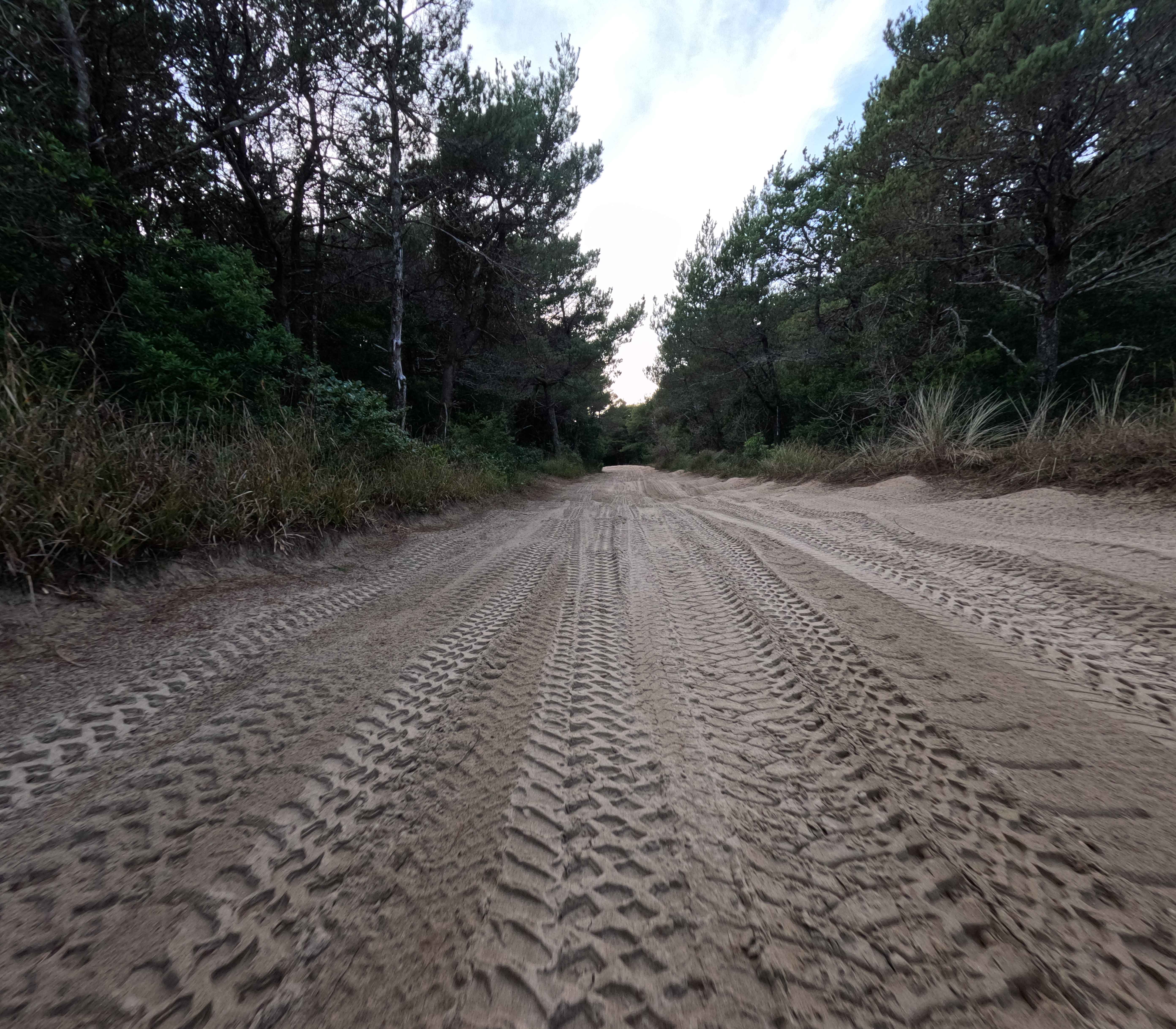 Coast Guard OHV South Trail - 1343