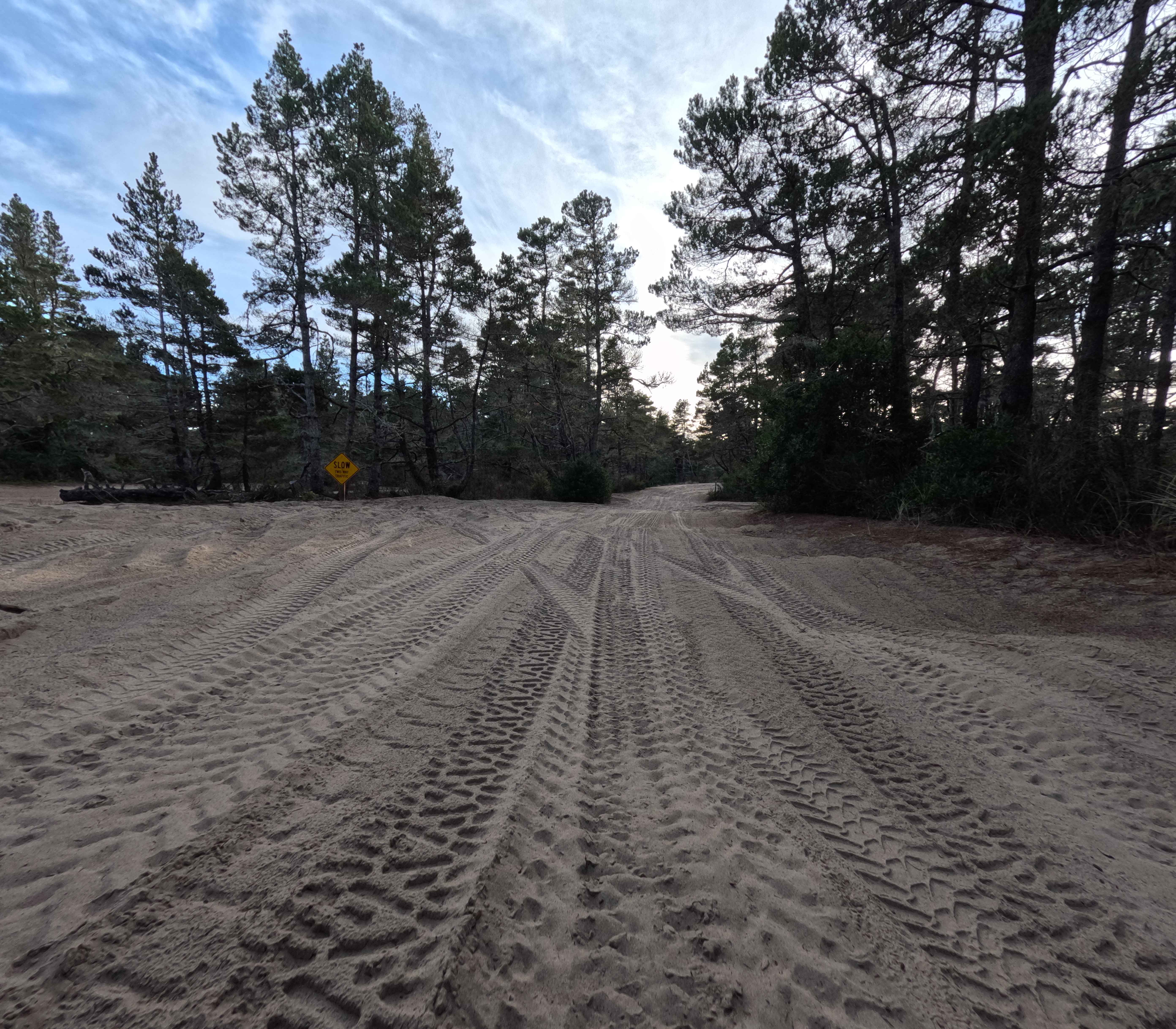 Coast Guard OHV South Trail - 1343