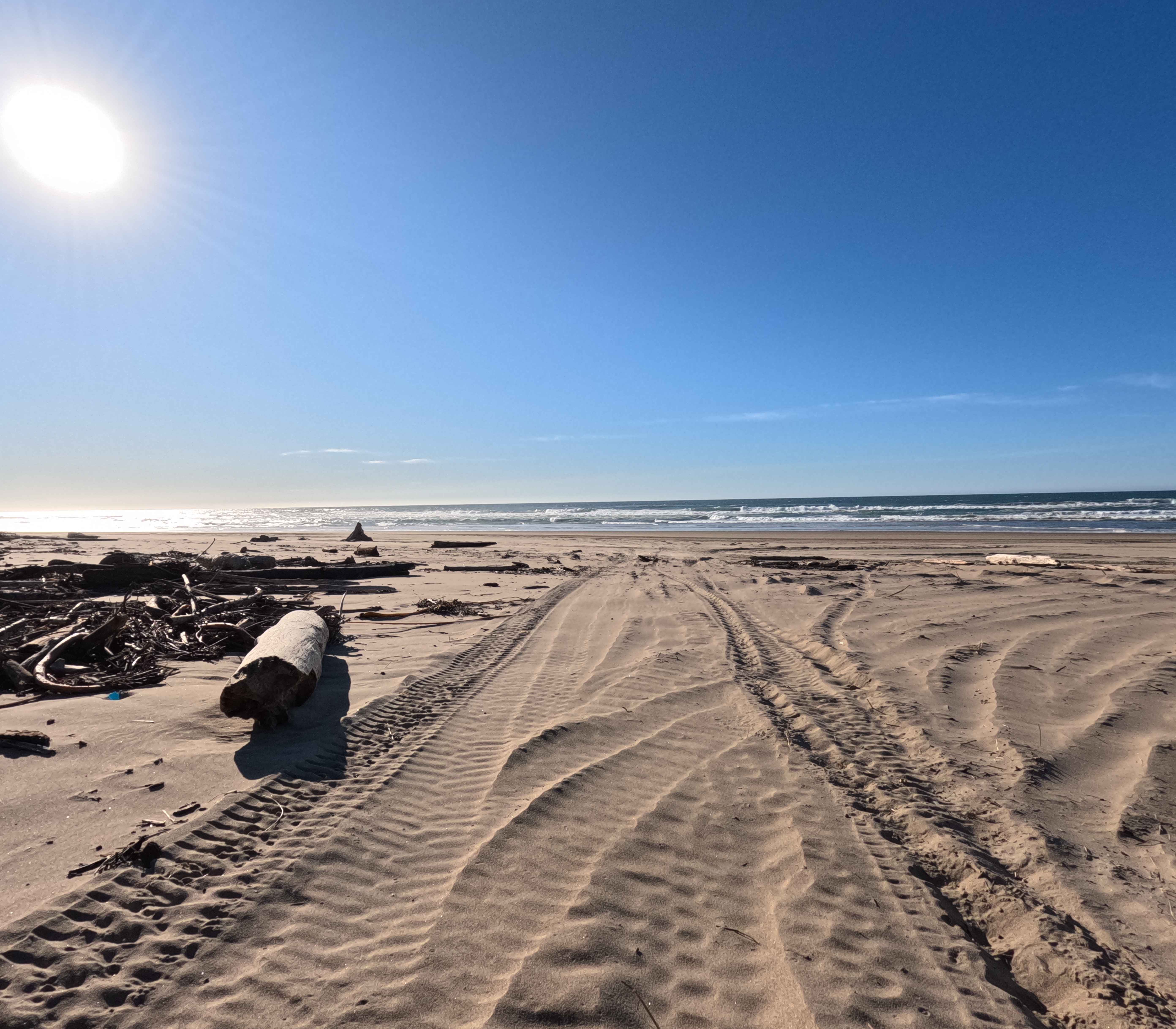 Hauser OHV Trail - 1341