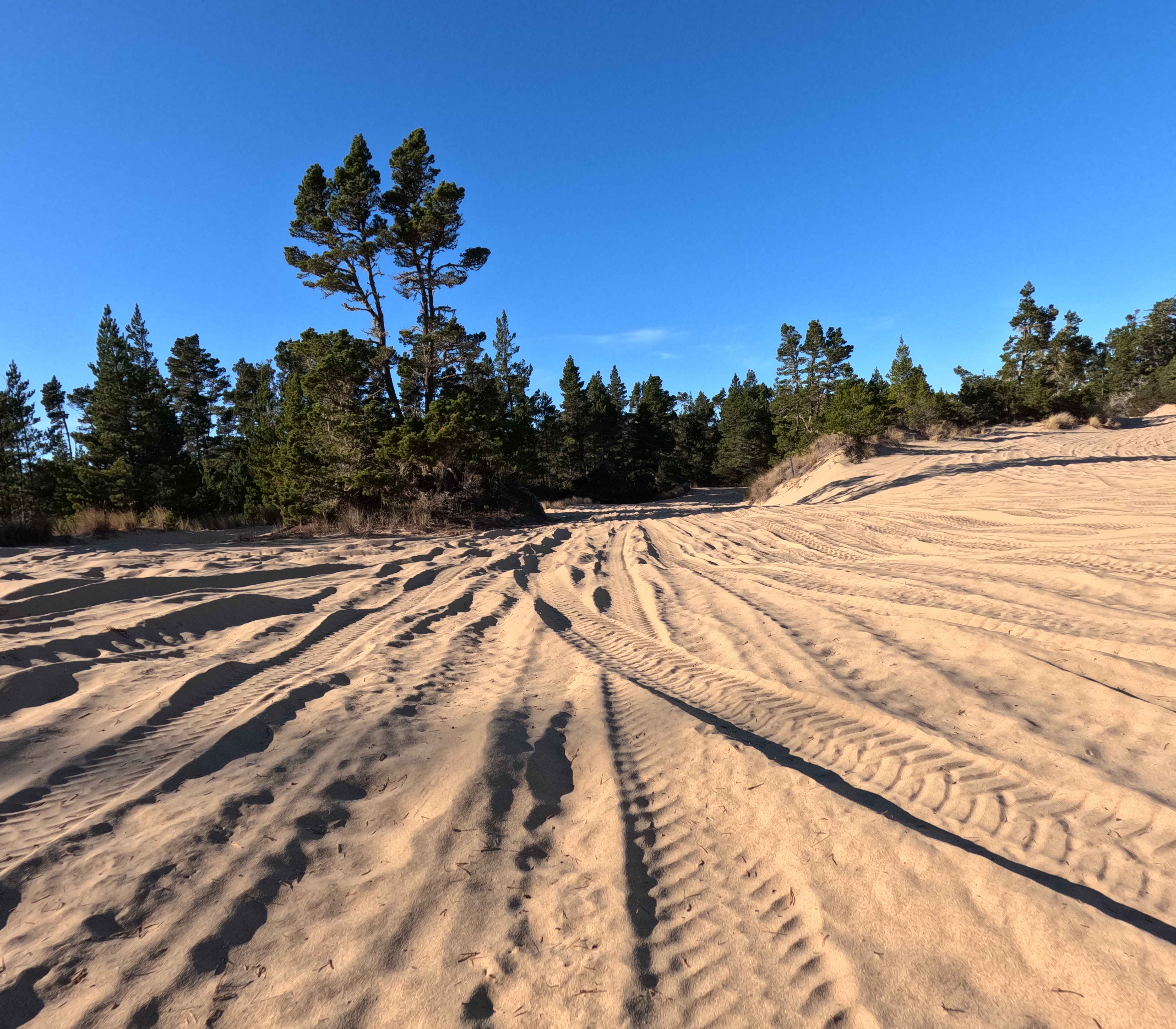 Hauser OHV Trail - 1341