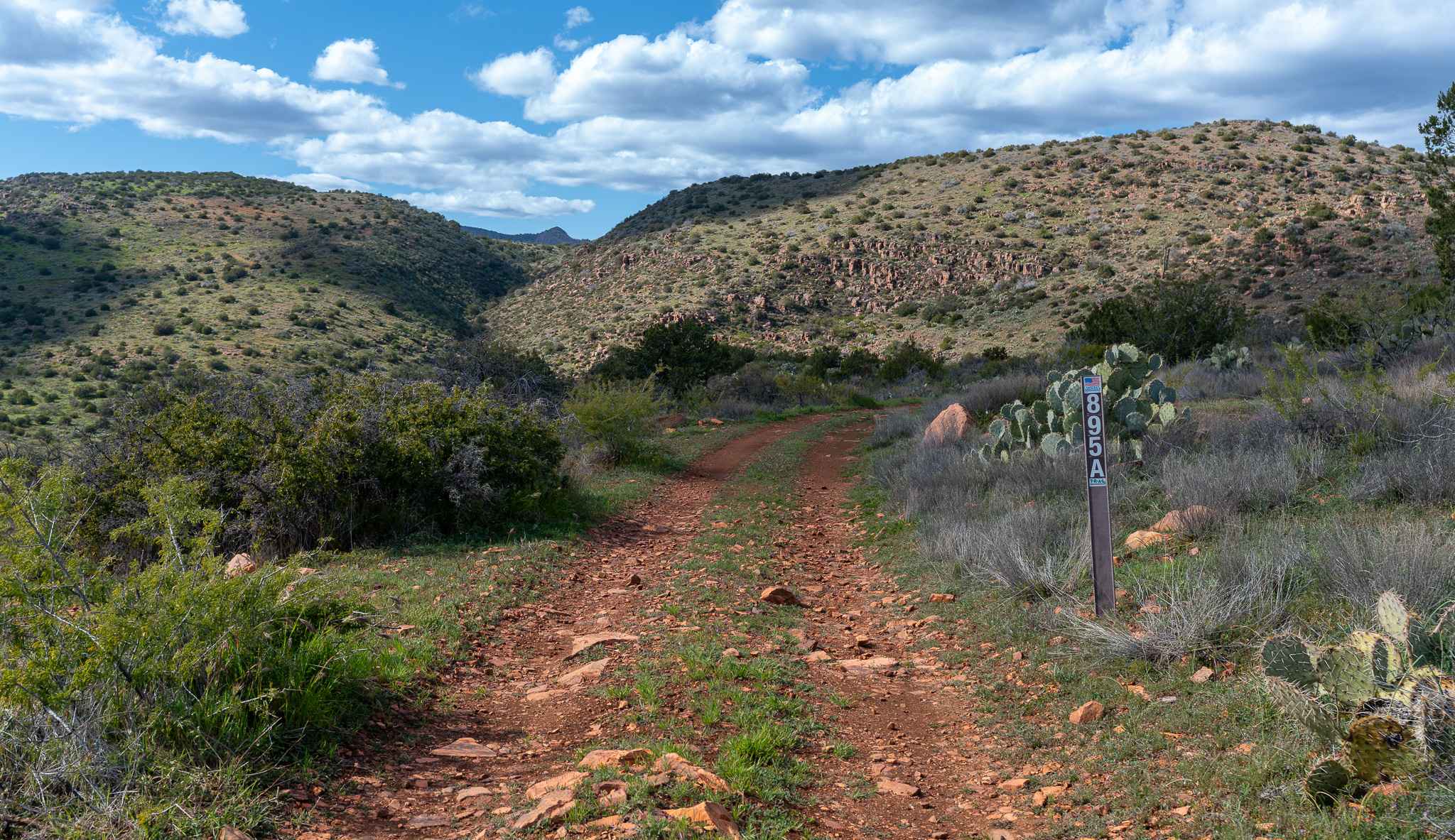 Boyer Cabin - FS 895A