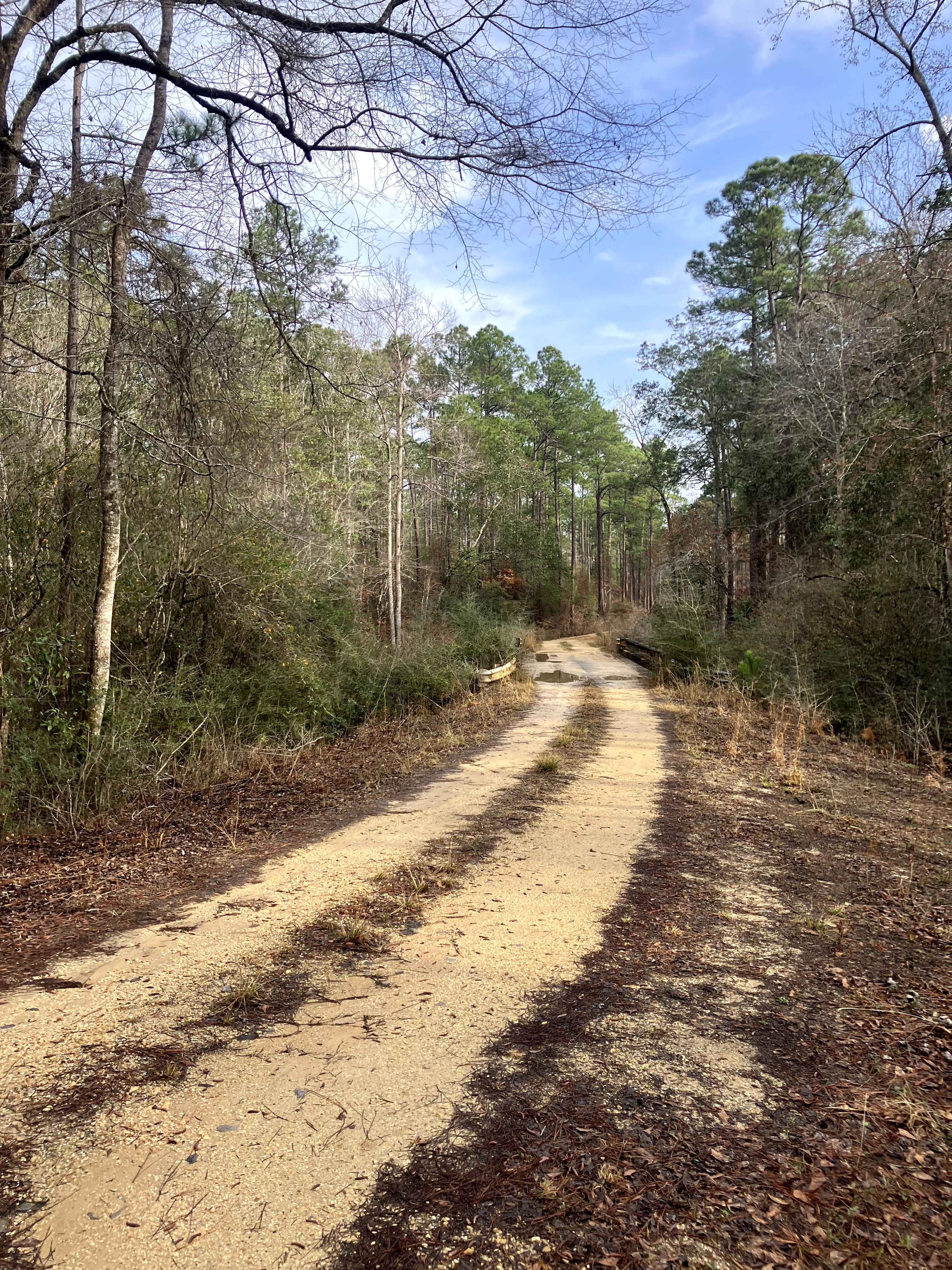 Boggy Hollow Road - FS 374