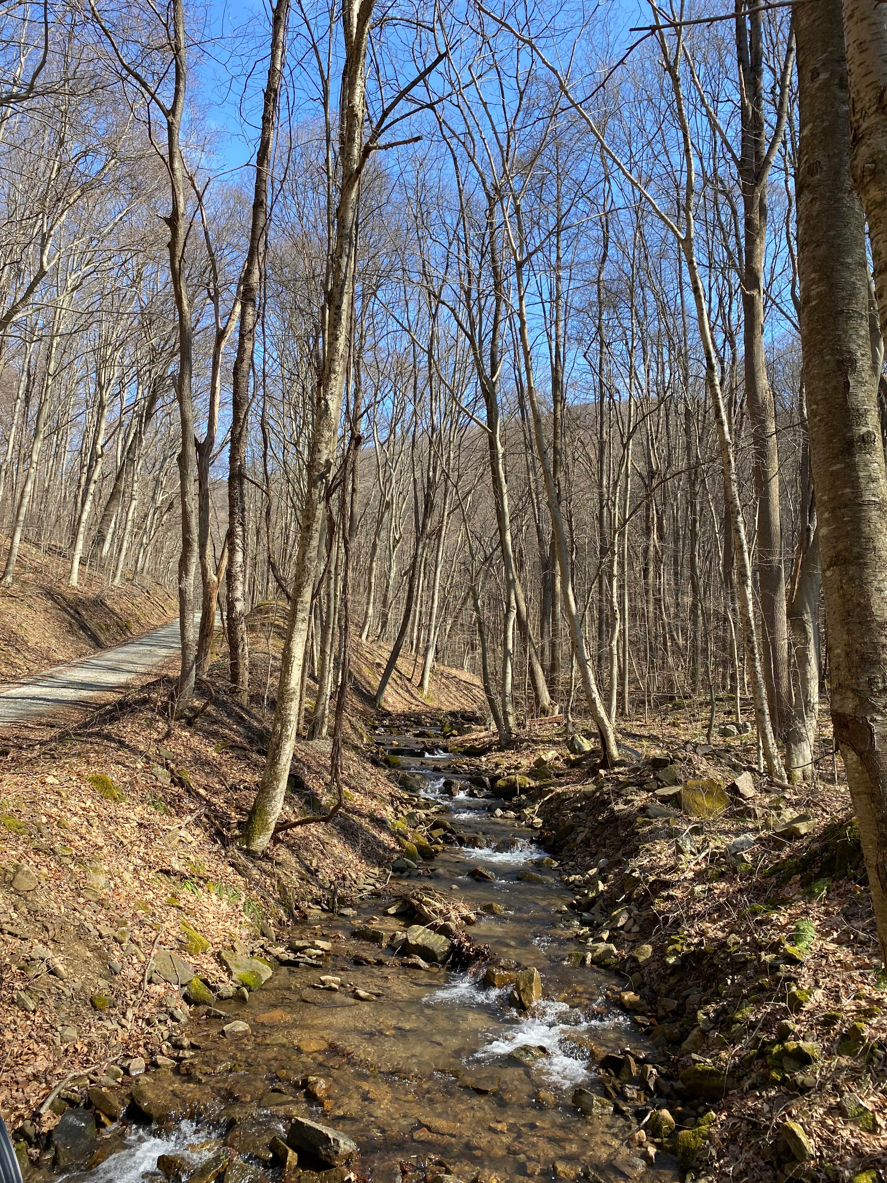 Bidwell Road Ghost Town