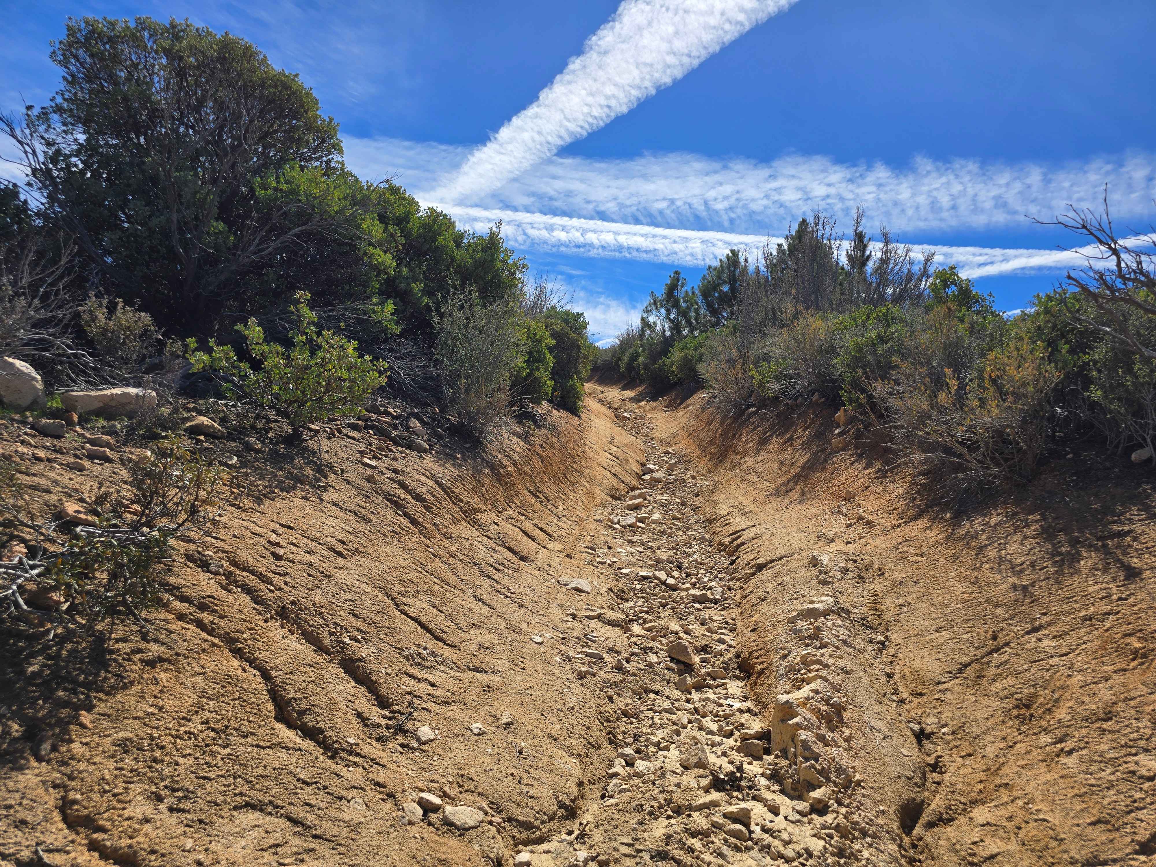 Plantation OHV Road - 2N29Y