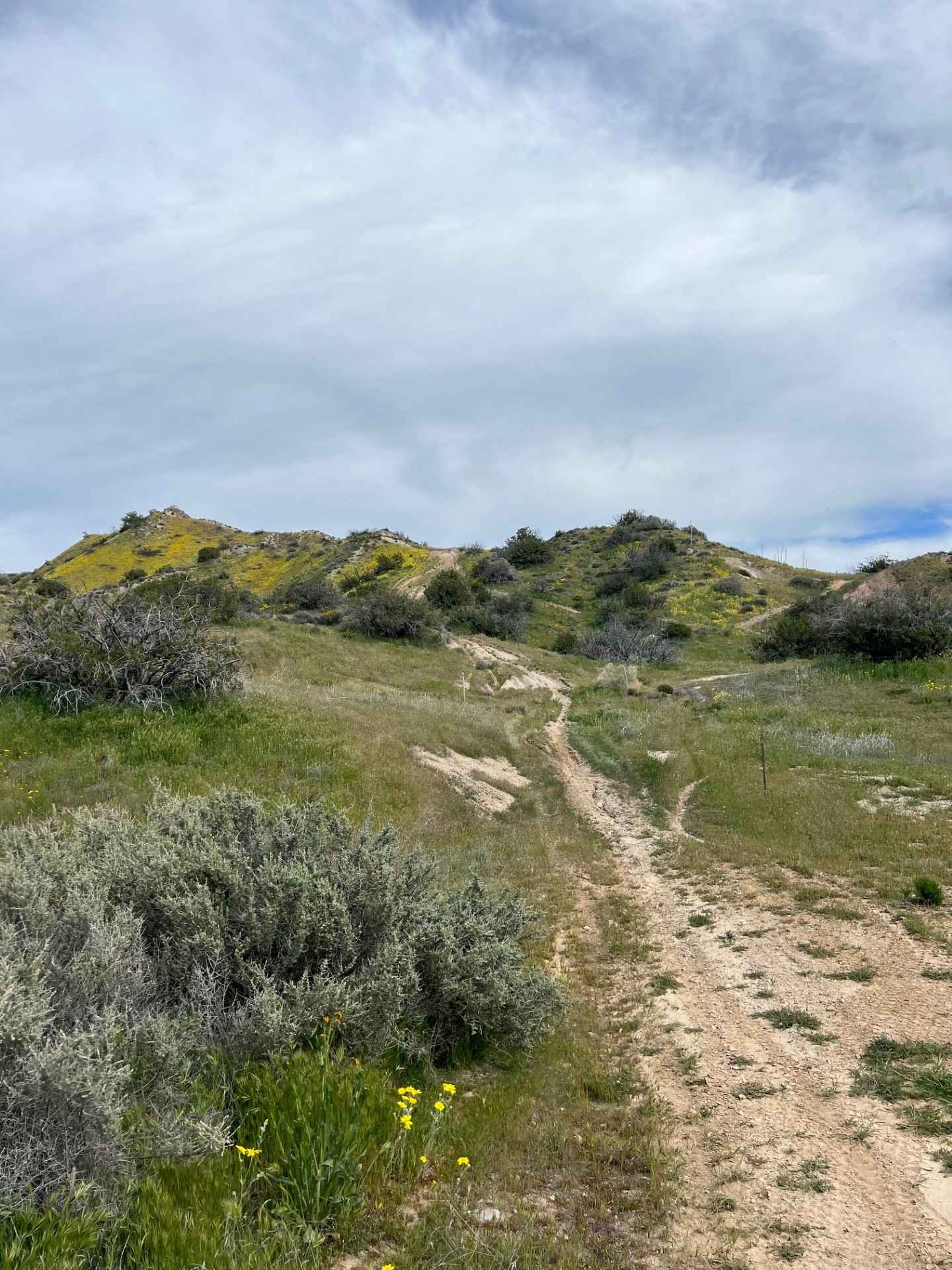 Trail 18 Singletrack