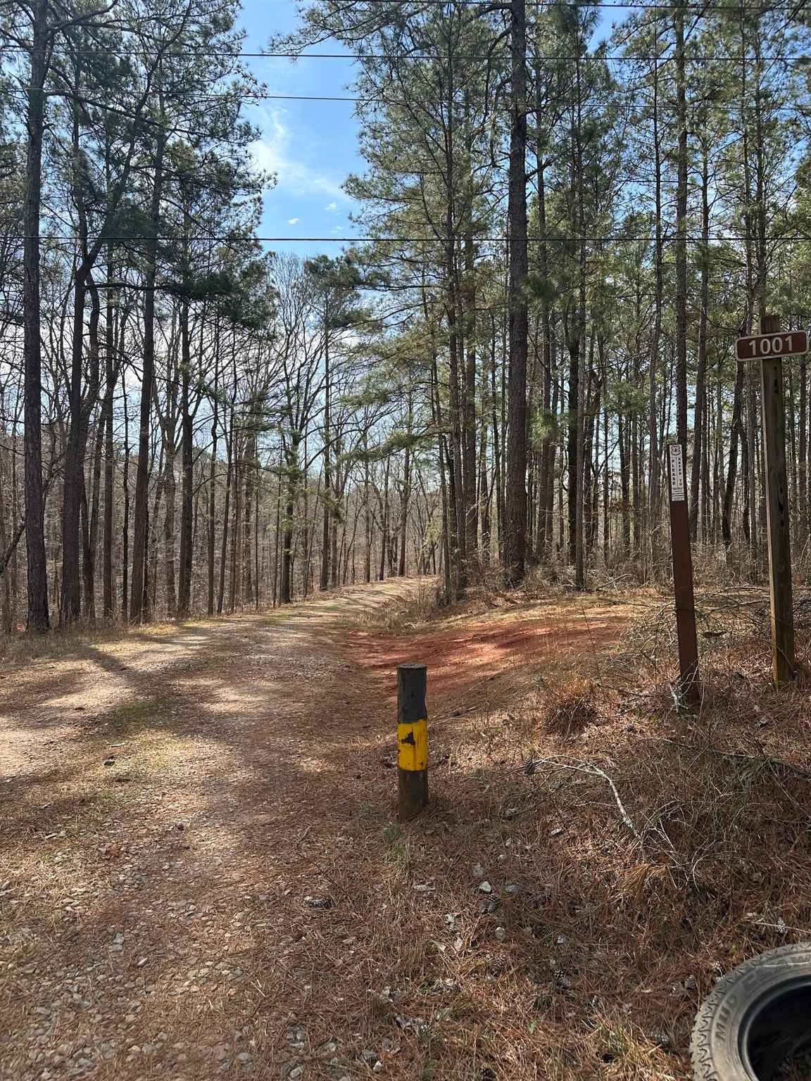 Smith Mill Road (FS 1001)