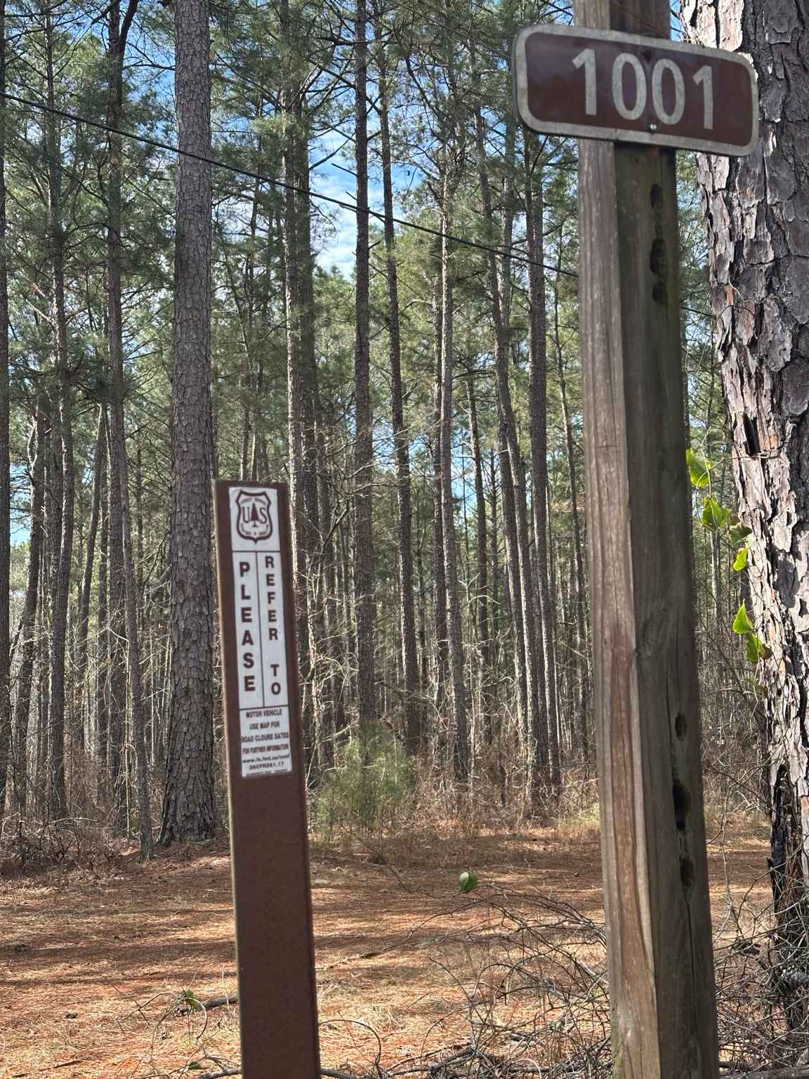 Smith Mill Road (FS 1001)