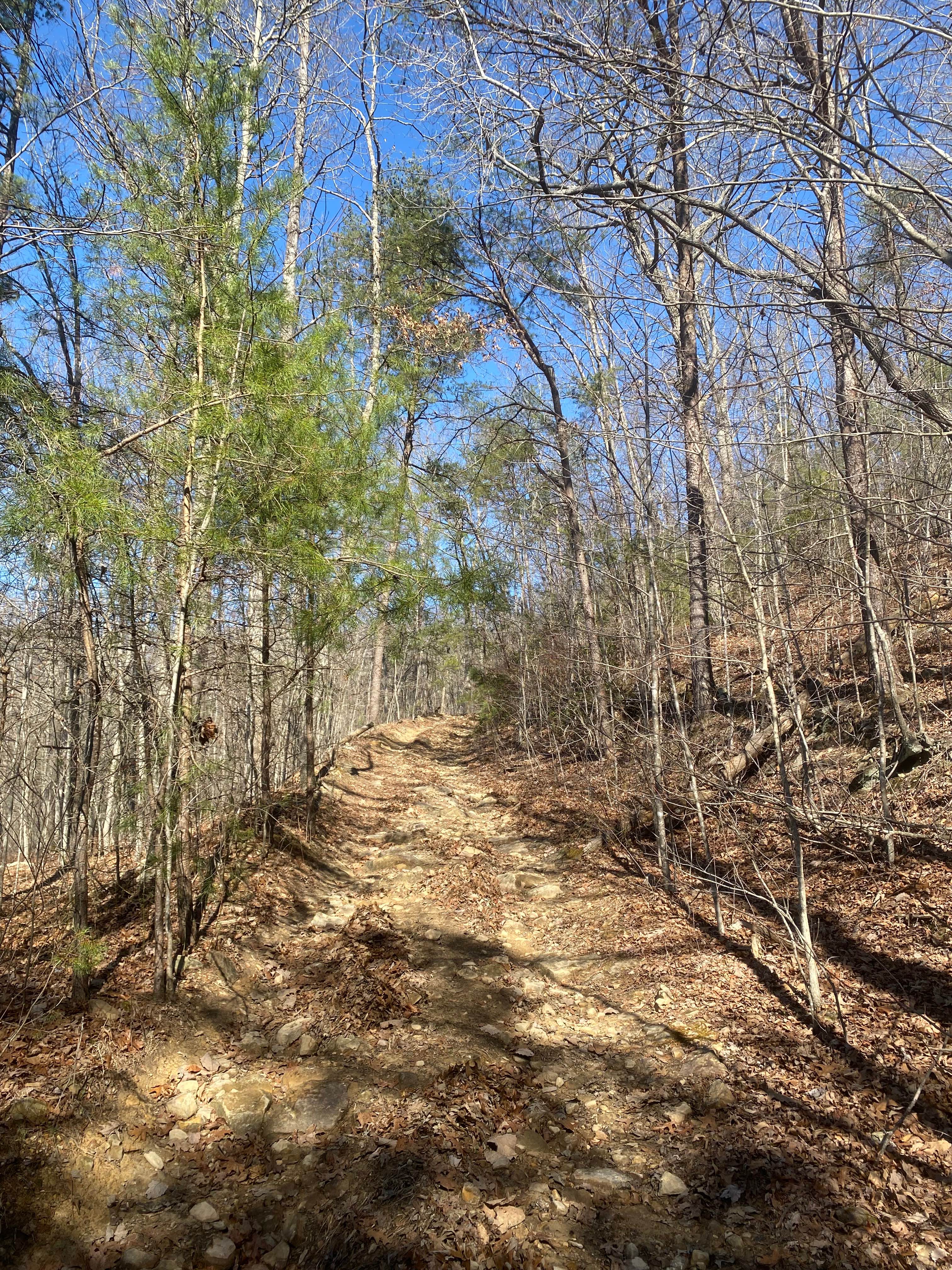 Barnes Buck Road - DBBB