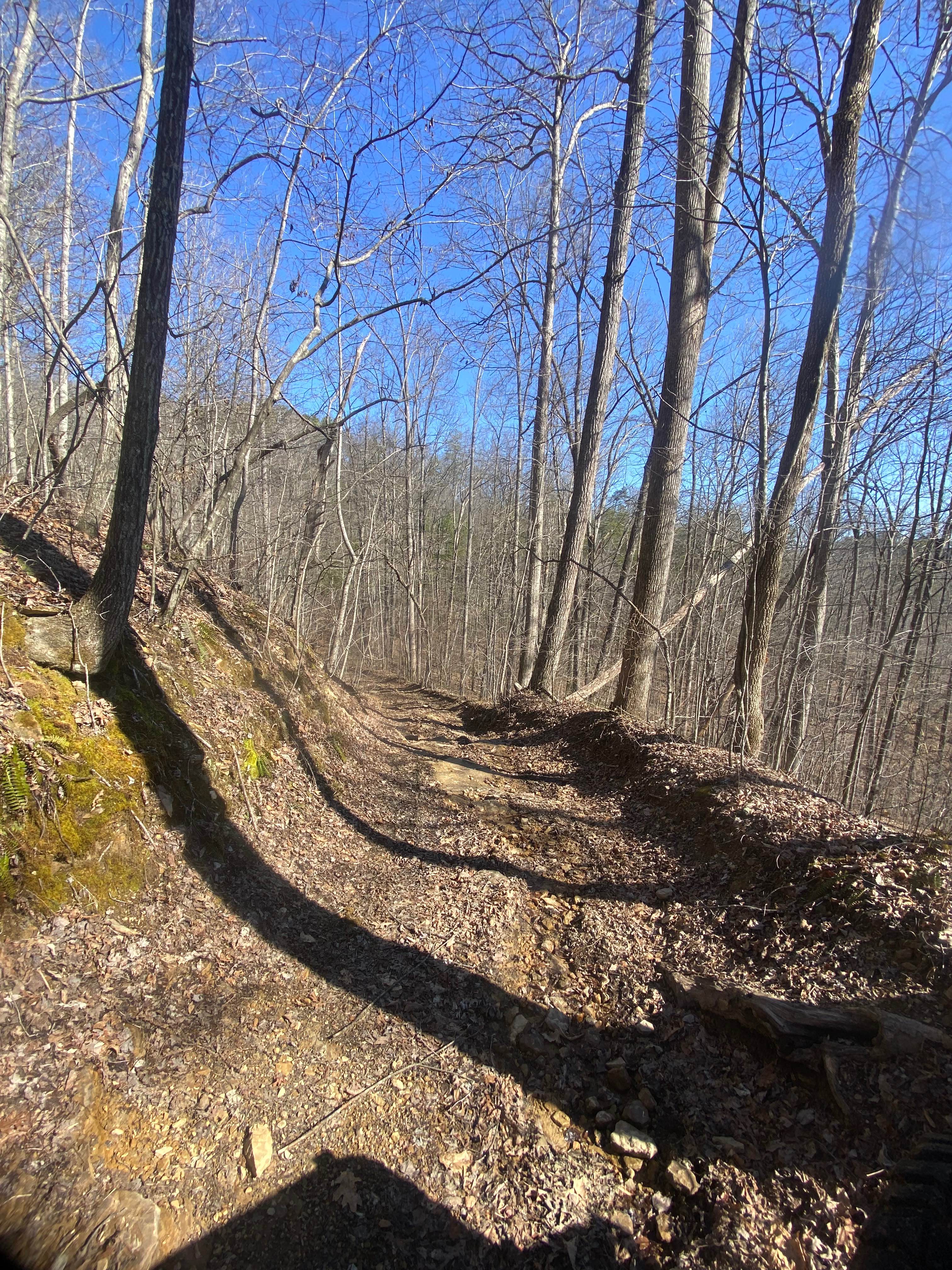 Barnes Buck Road - DBBB