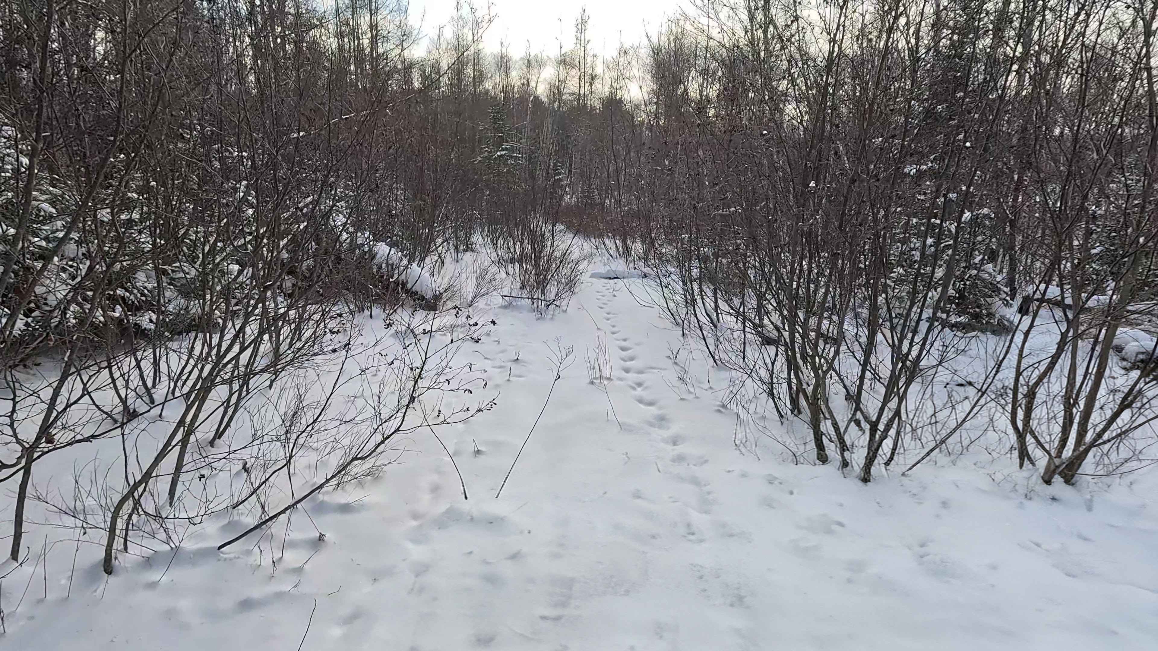 Douglas Hydro Bypass