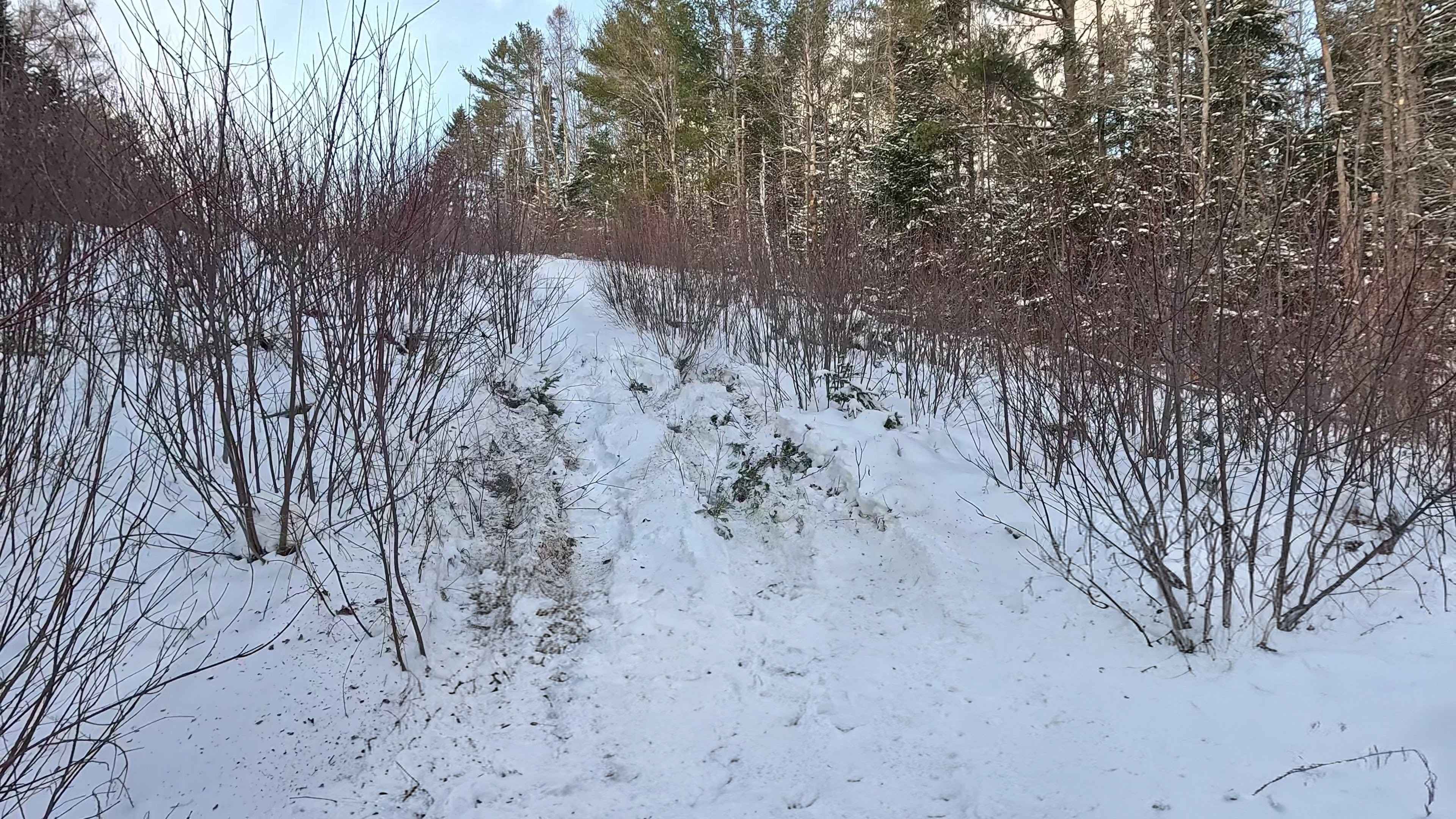 Douglas Hydro Bypass