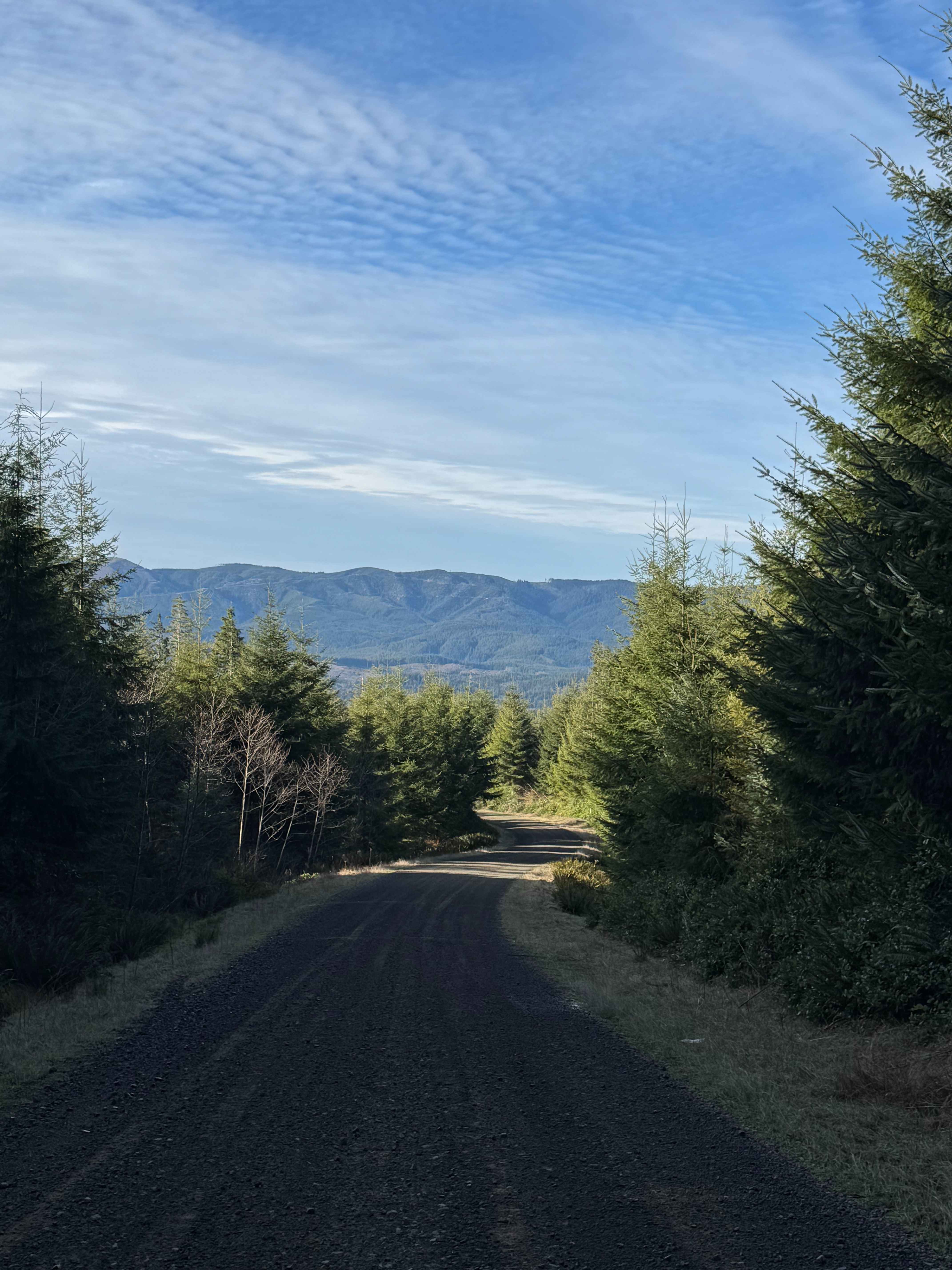 Snag and Western Lake