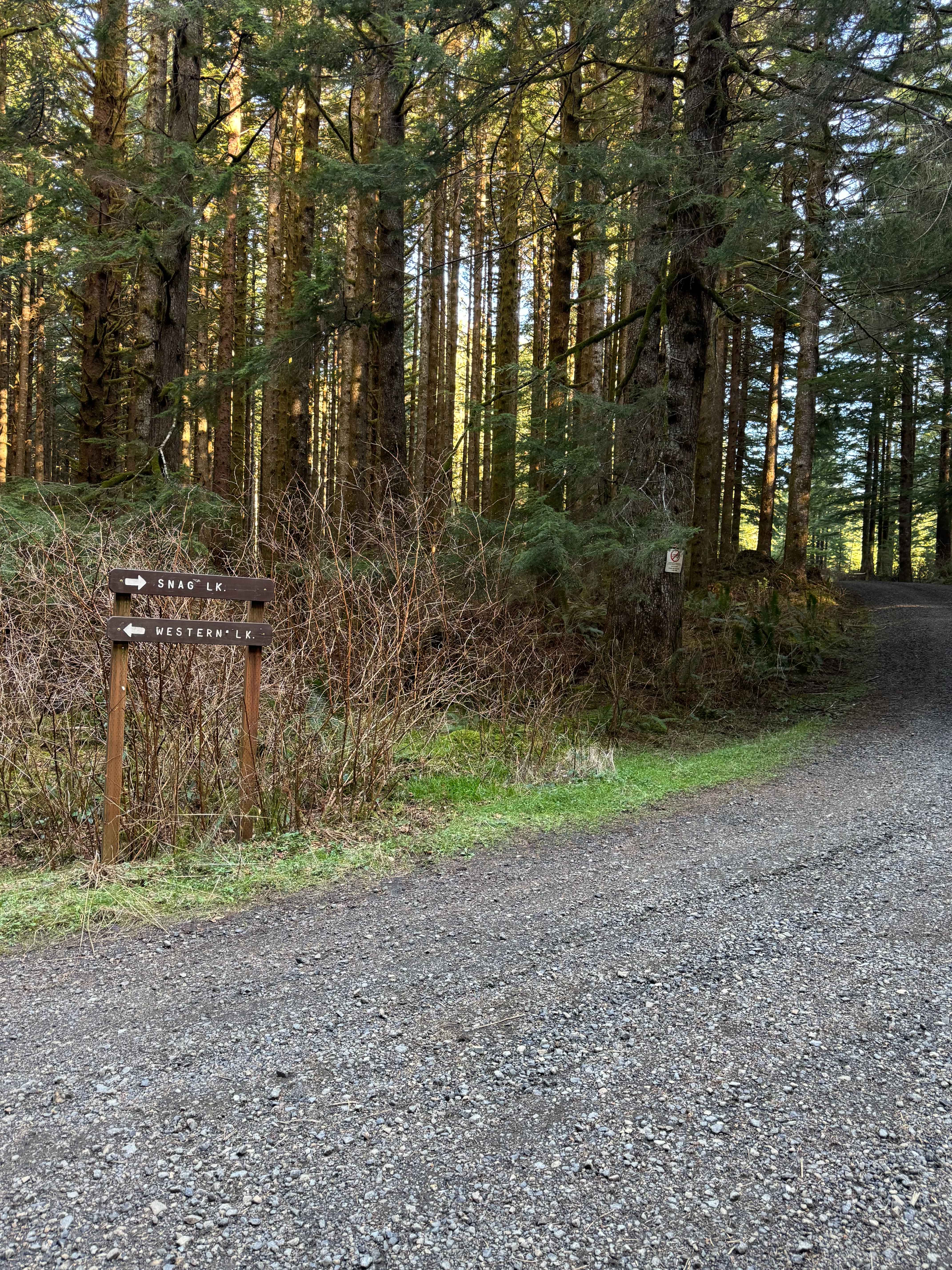 Snag and Western Lake