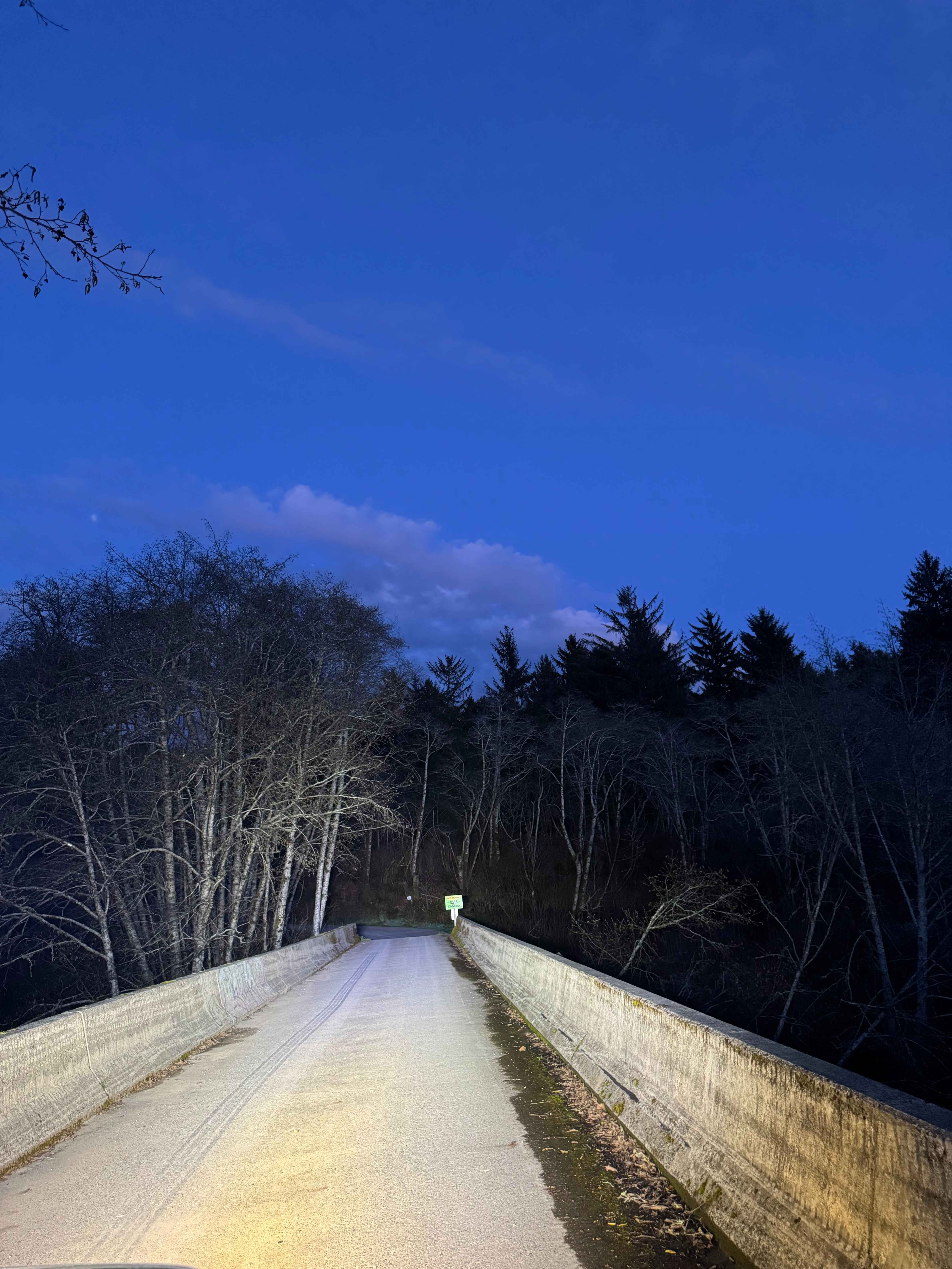 Oregon Redwoods Trail