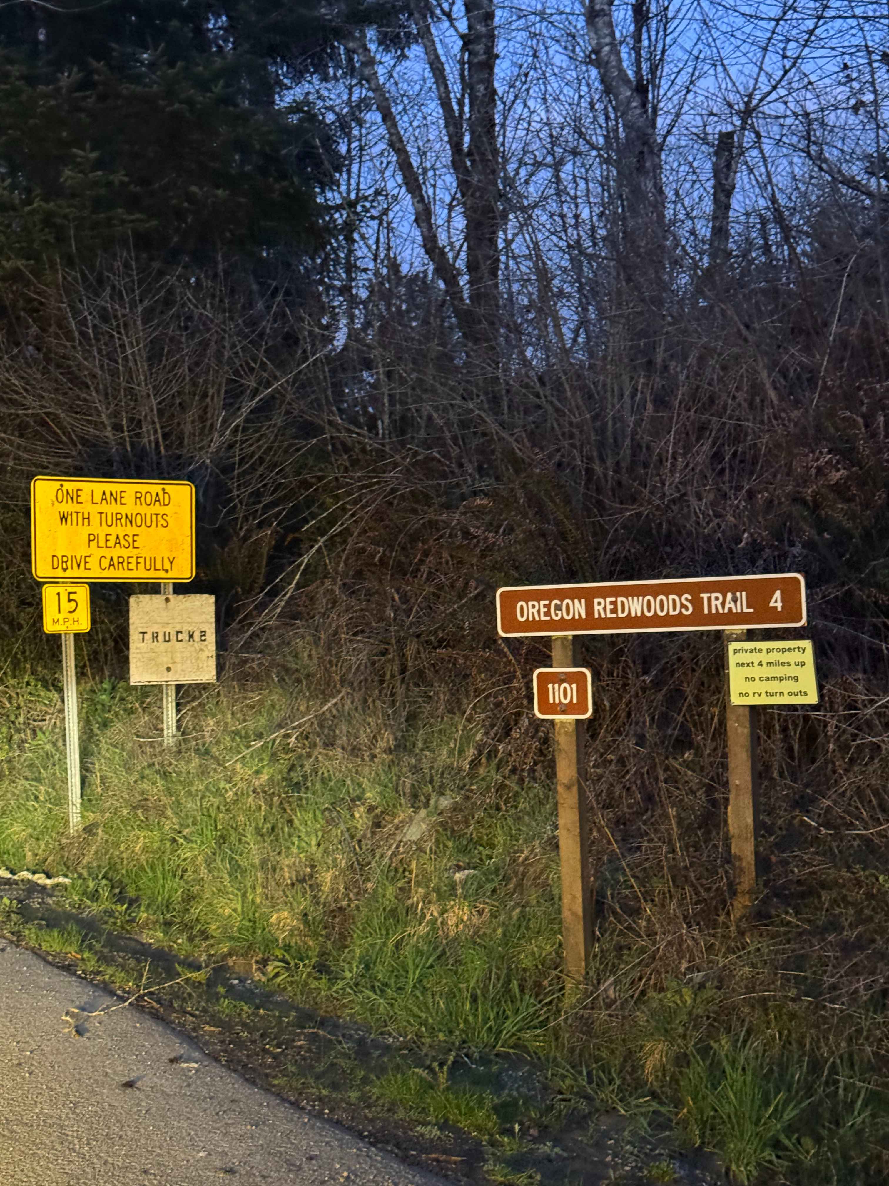 Oregon Redwoods Trail