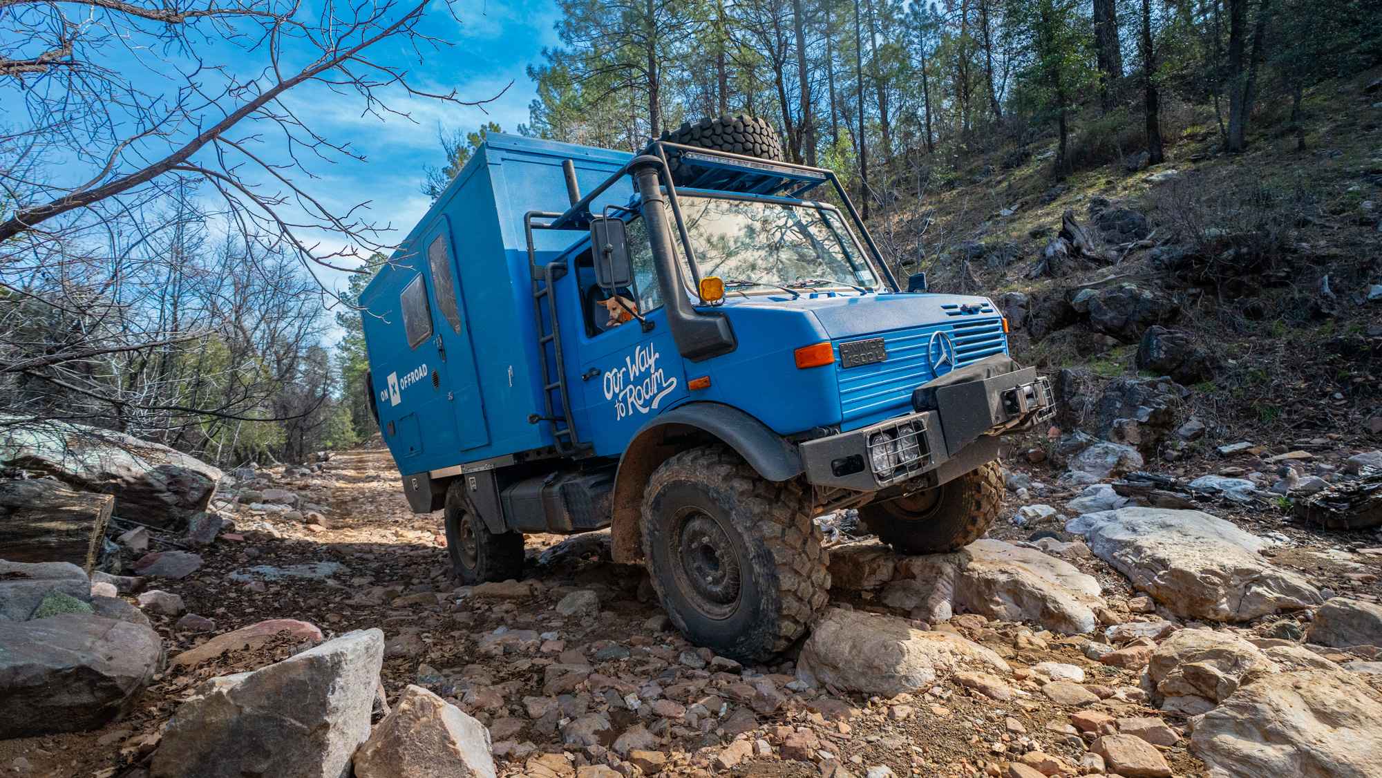 Cow Flat Road - FS 329