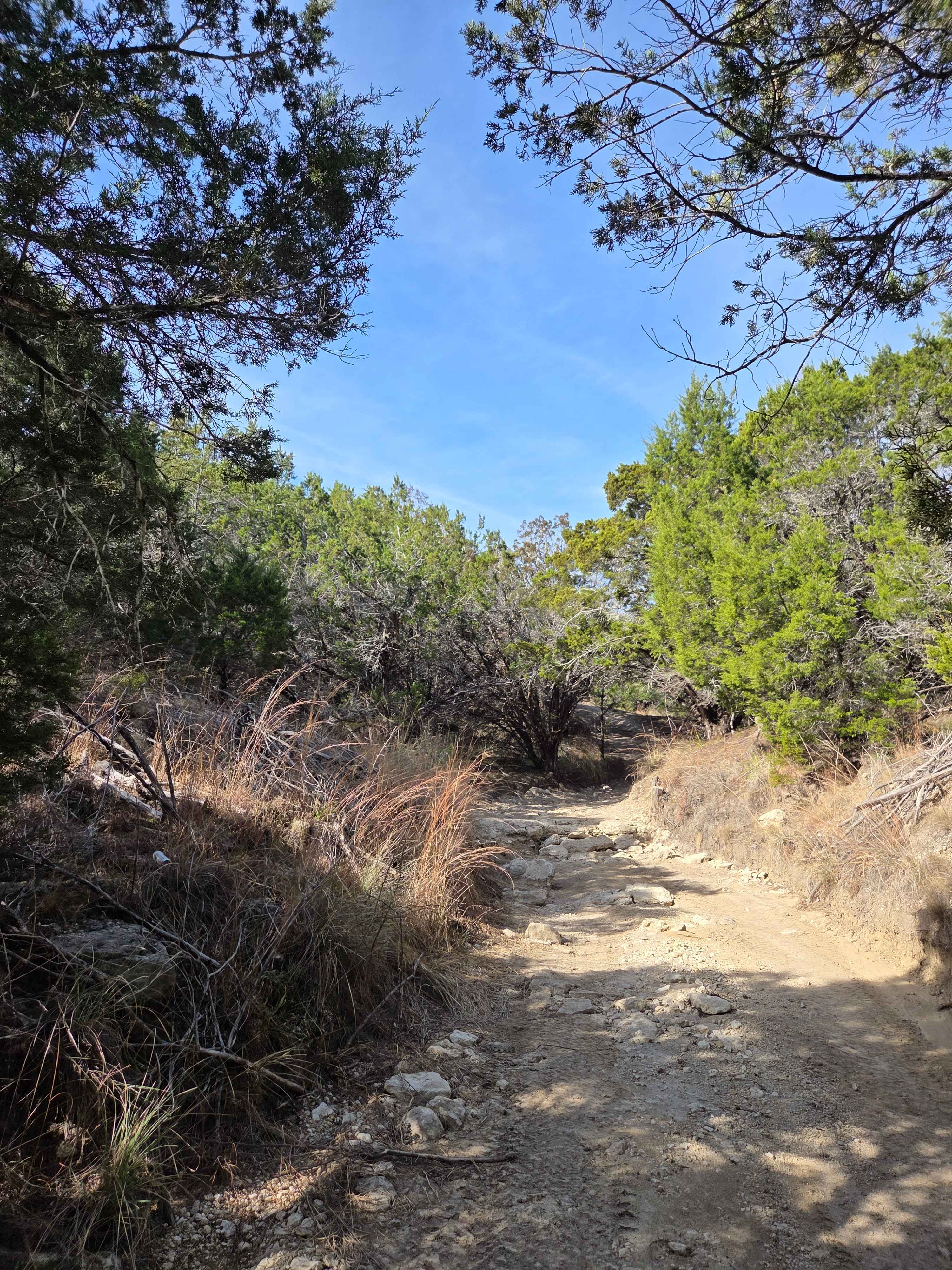 Wildcat Stairway Spur