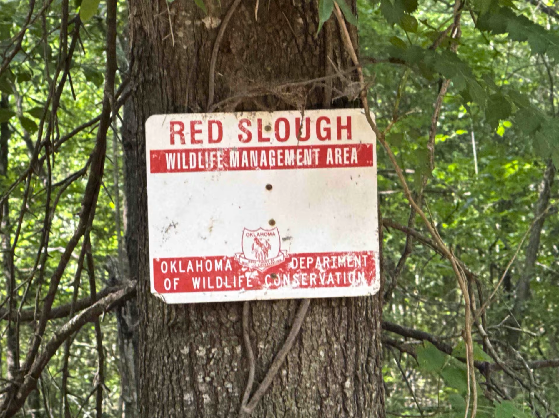 Red Slough