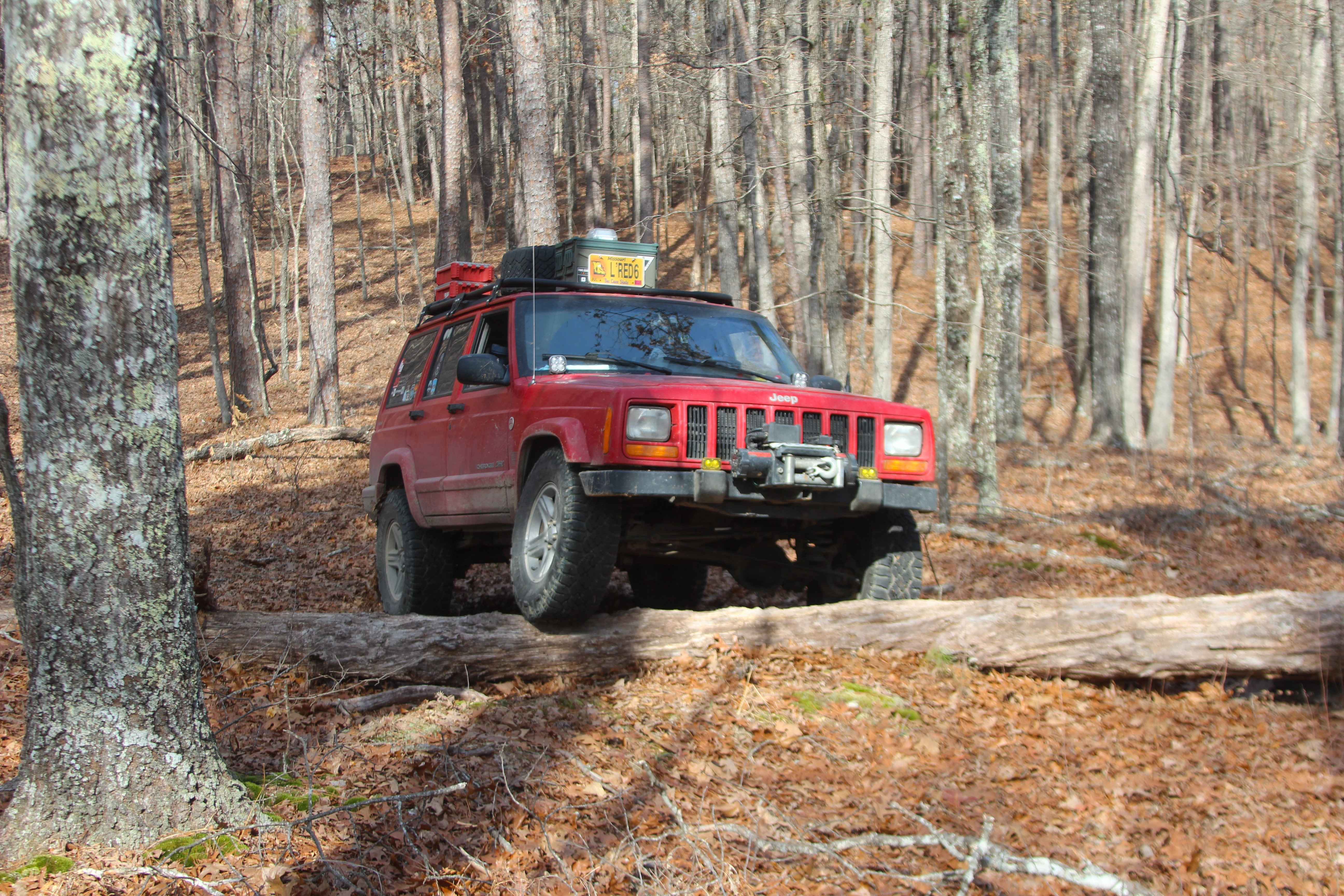 Ebb Spring - FS 4100