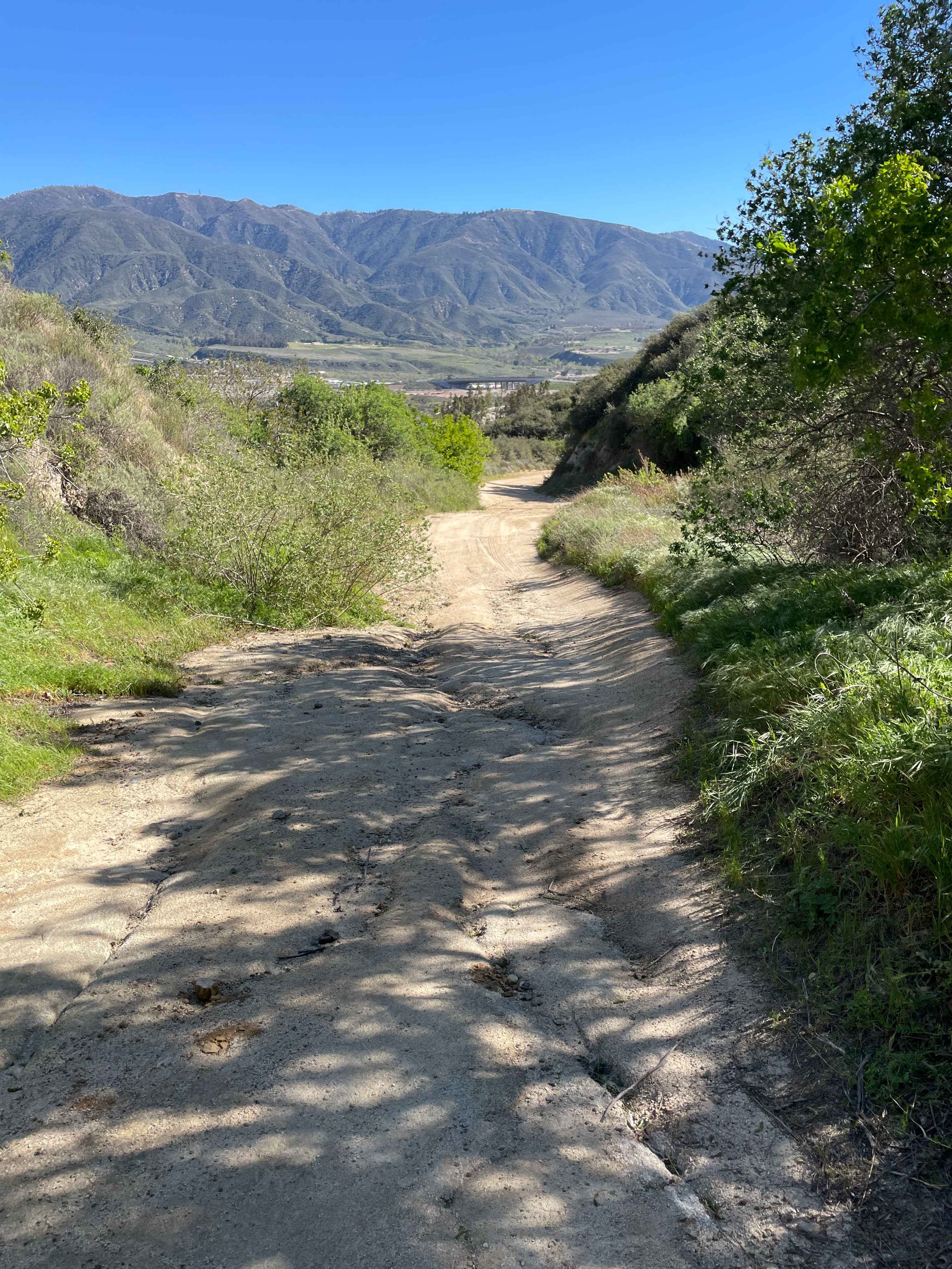 Lower Lytle Creek Divide - 3N31