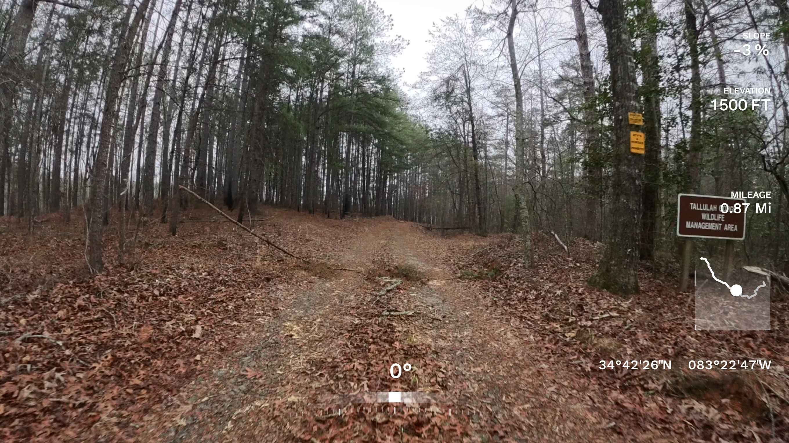 Tallulah Gorge WMA - 1597