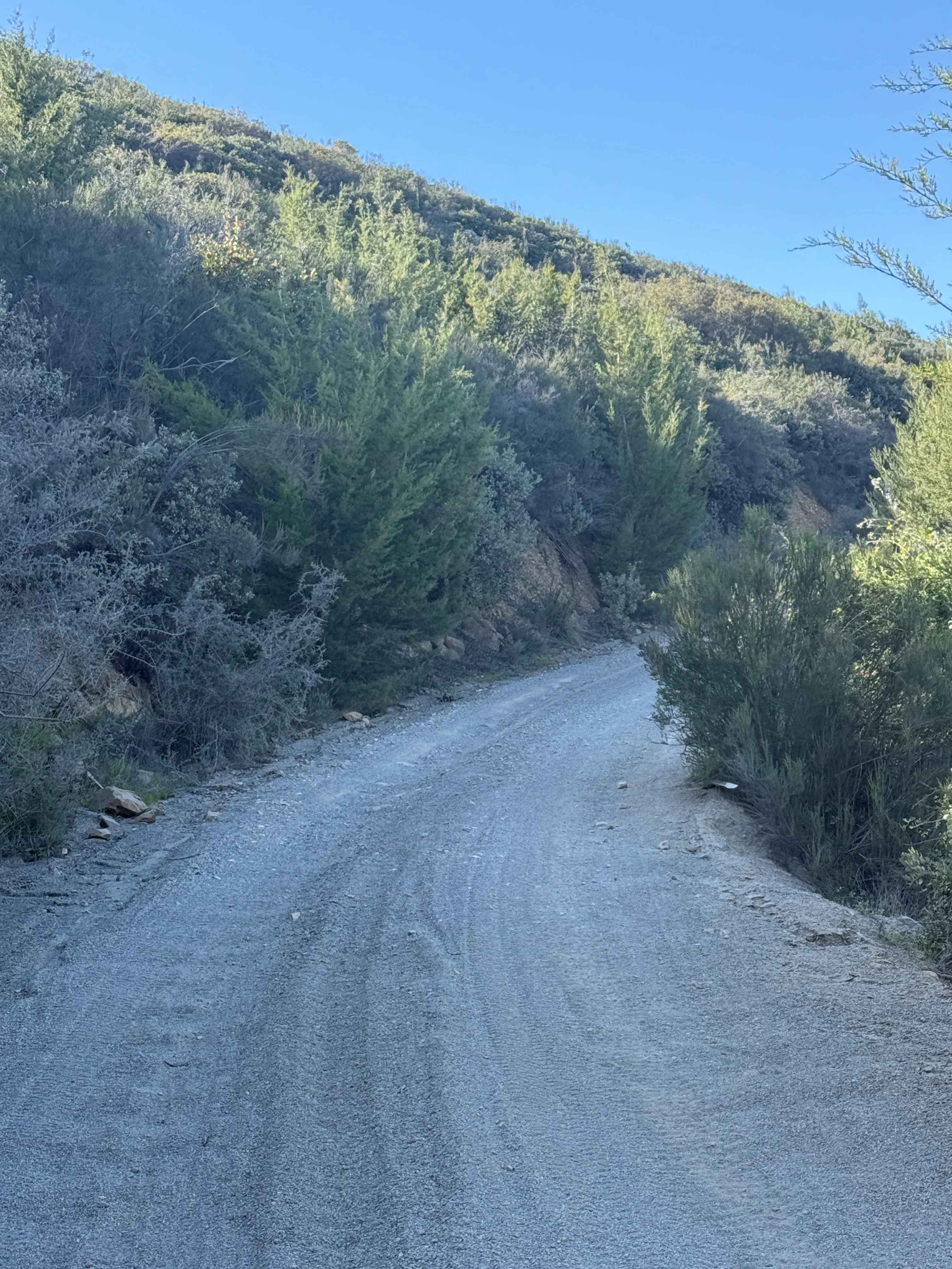 Otay Mountain Truck Trail West