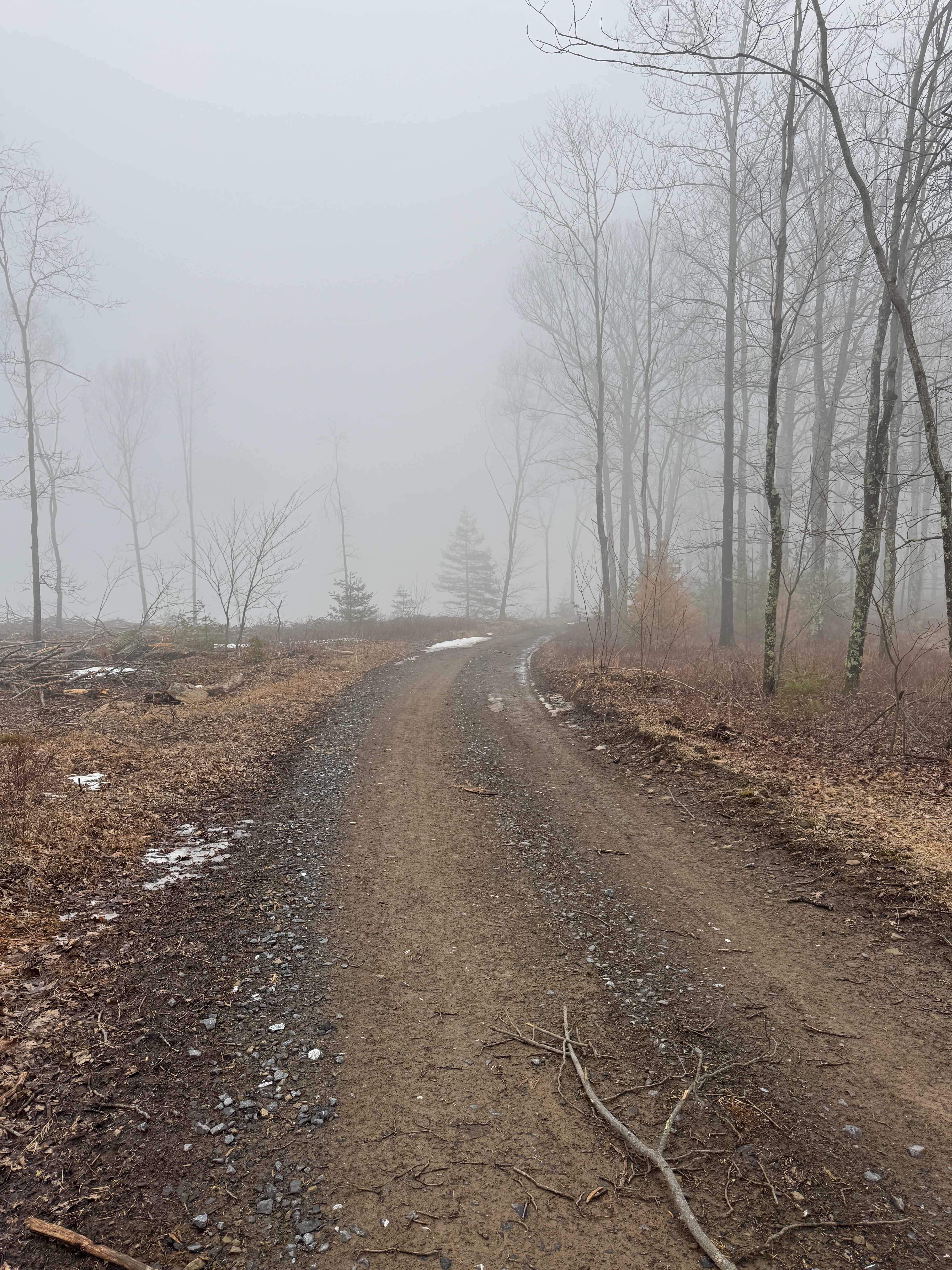 Left Branch Benjamin Run Road