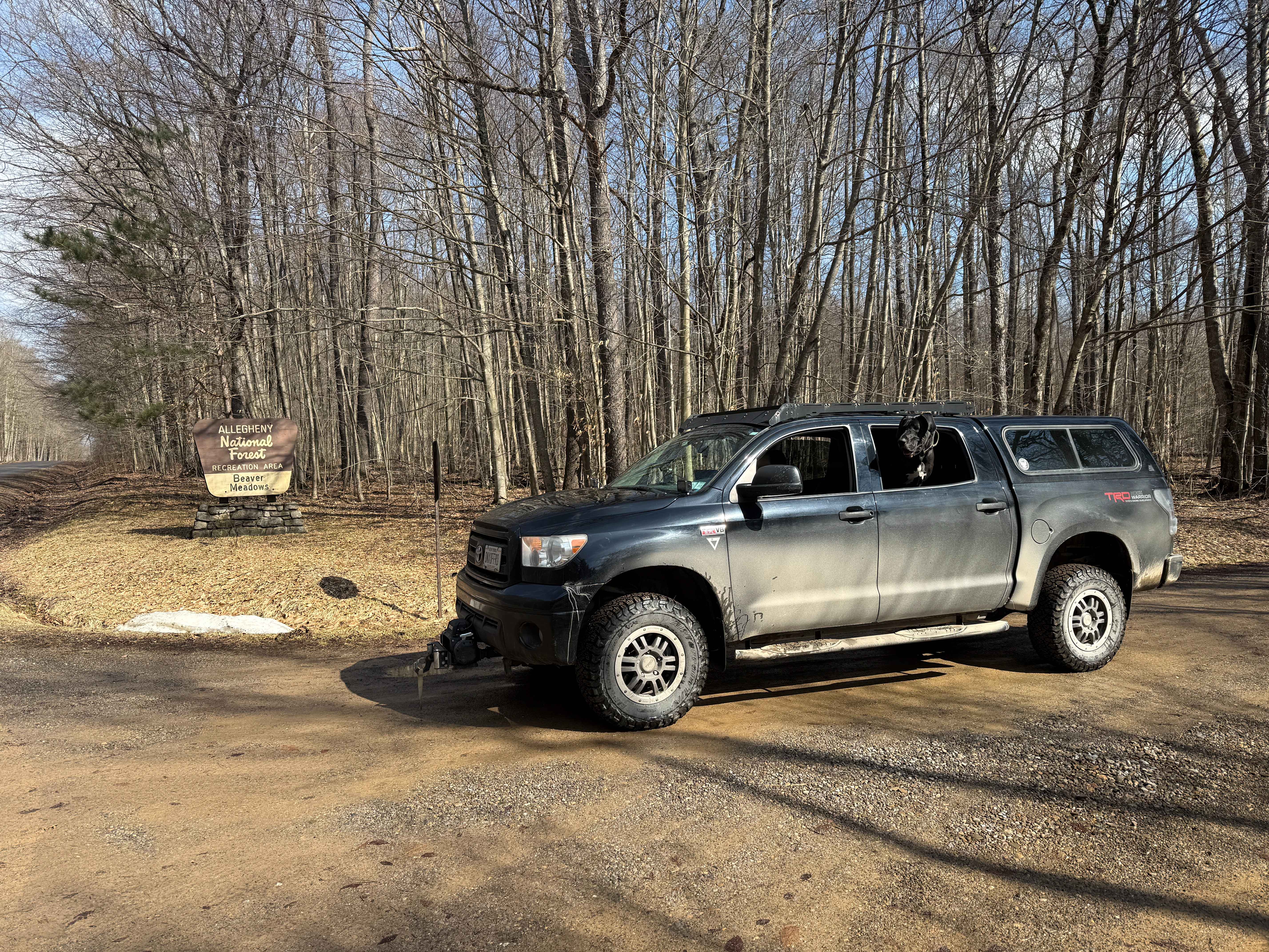 Beaver Meadows - FS 282