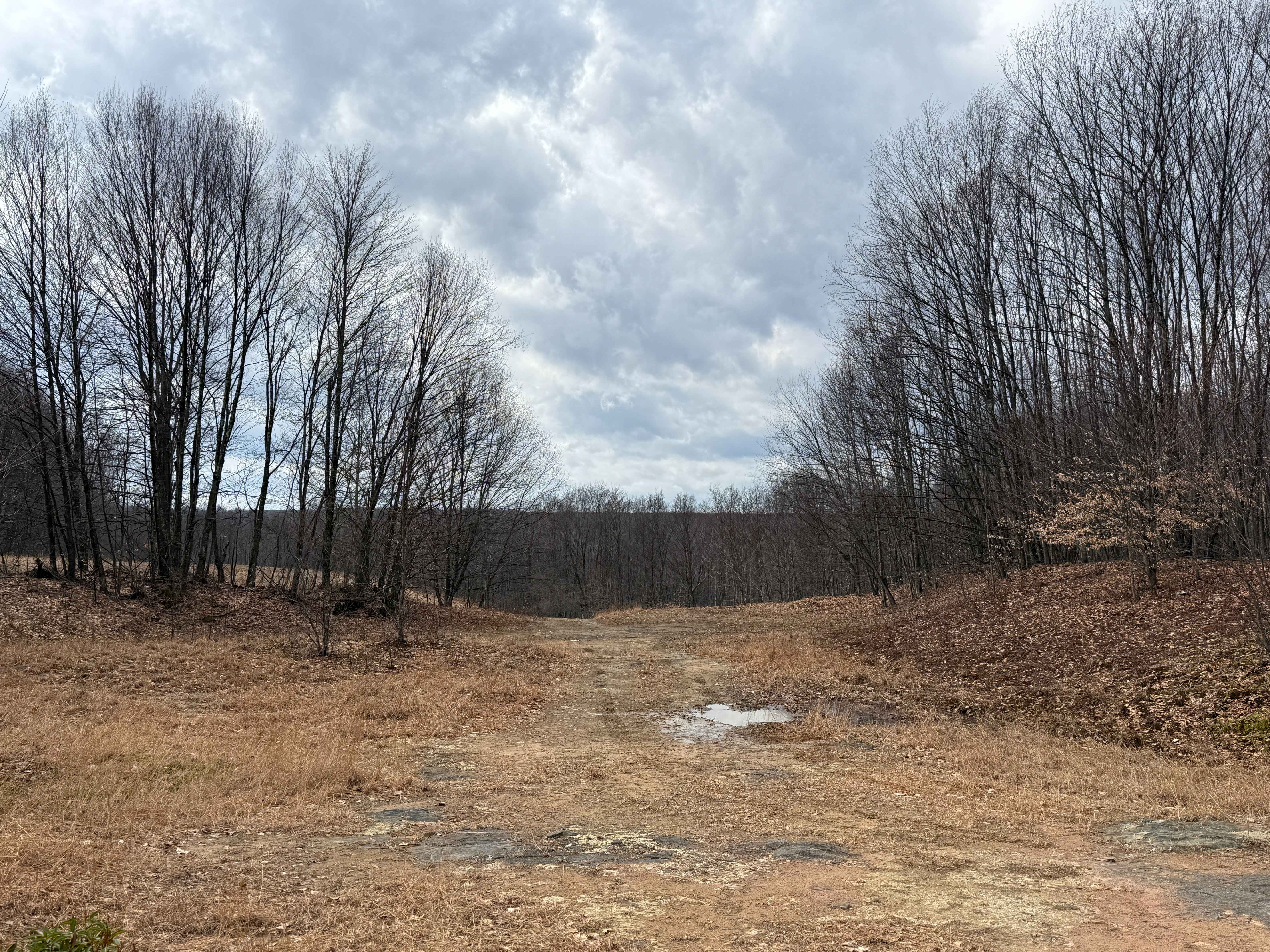 McMullen A - FS 101A