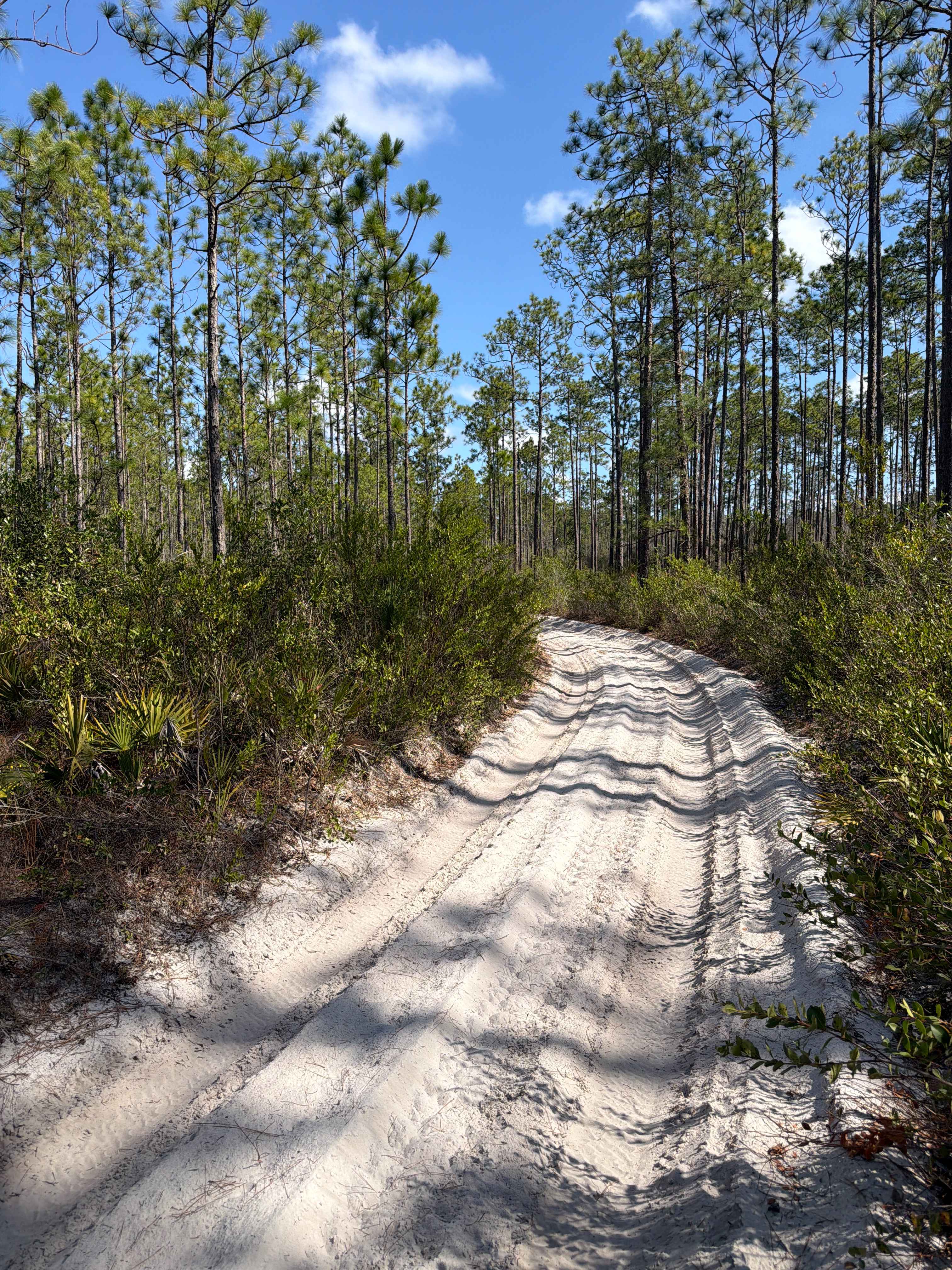 Holland Bypass - FS 308