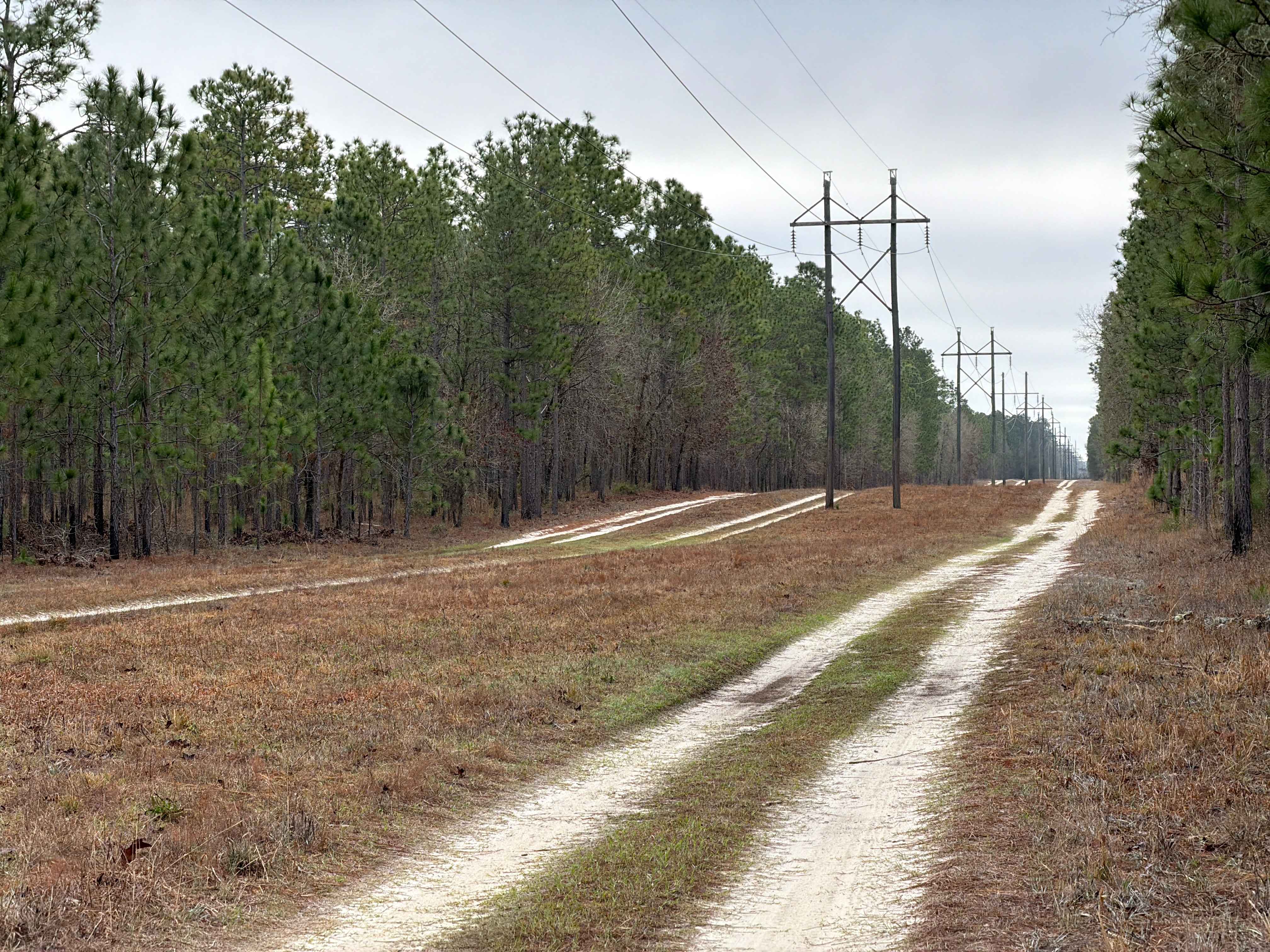 Powerline East - FS 300-C