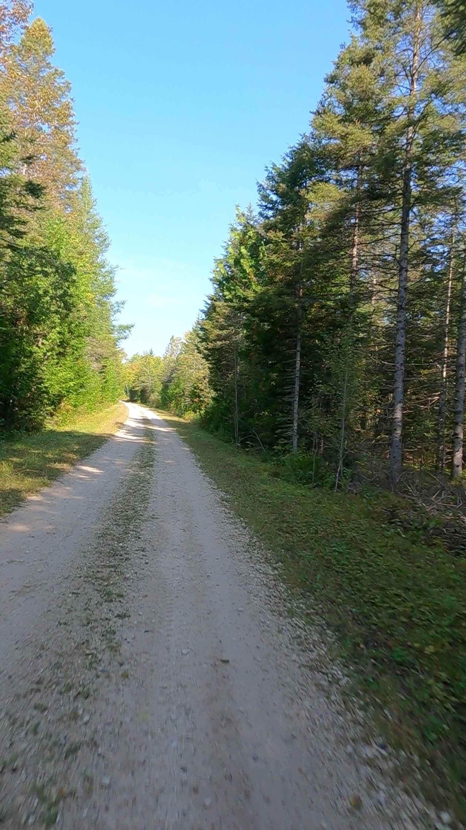 Cole (ORV Route A) - FS 3808