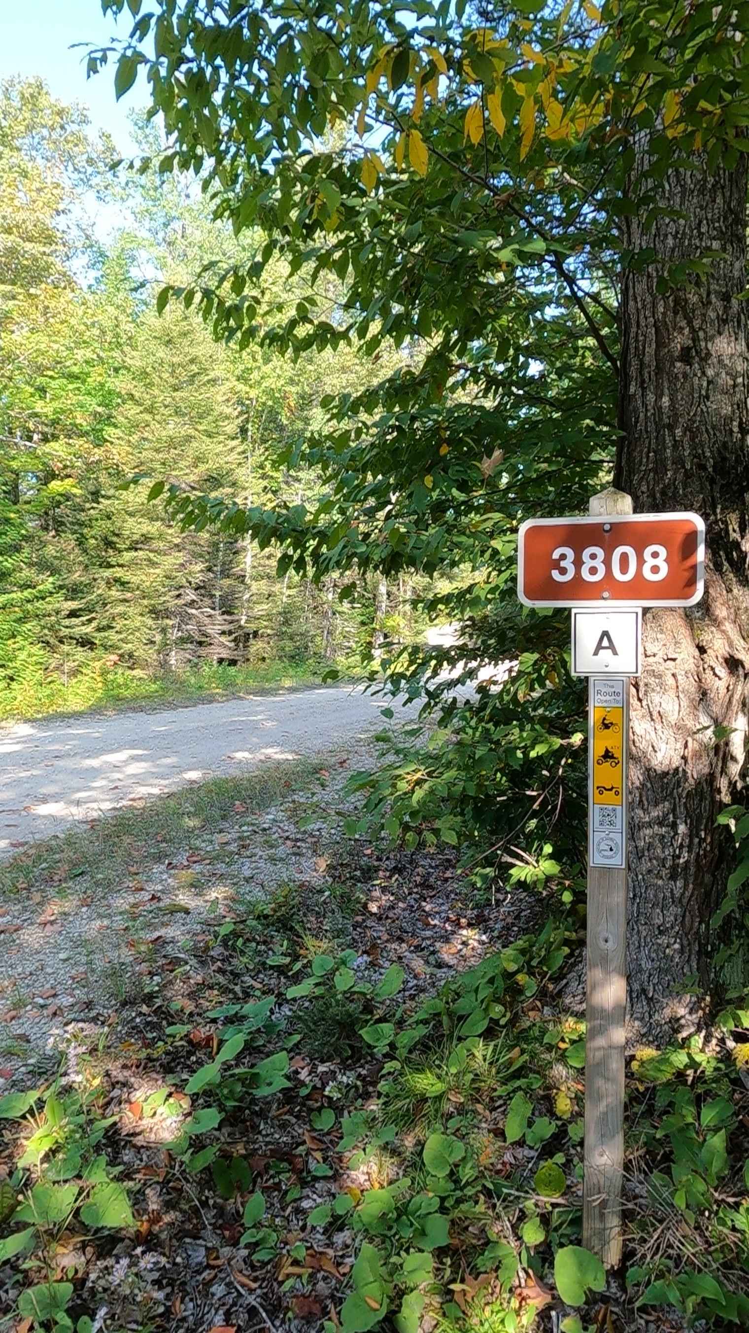 Cole (ORV Route A) - FS 3808