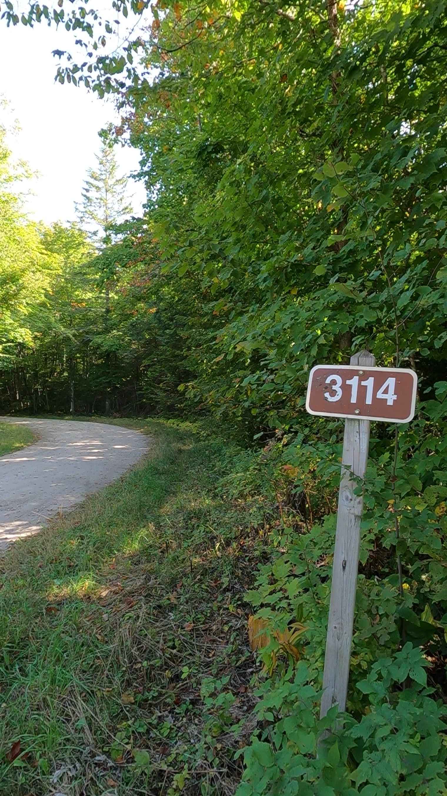 Guard Lake - FS 3114