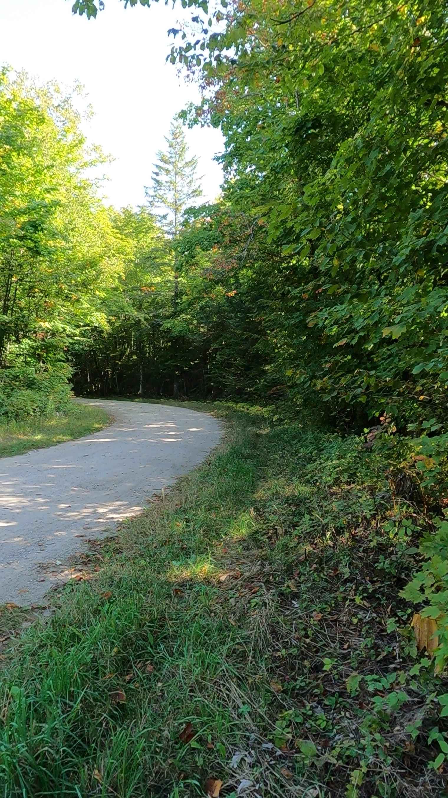 Guard Lake - FS 3114