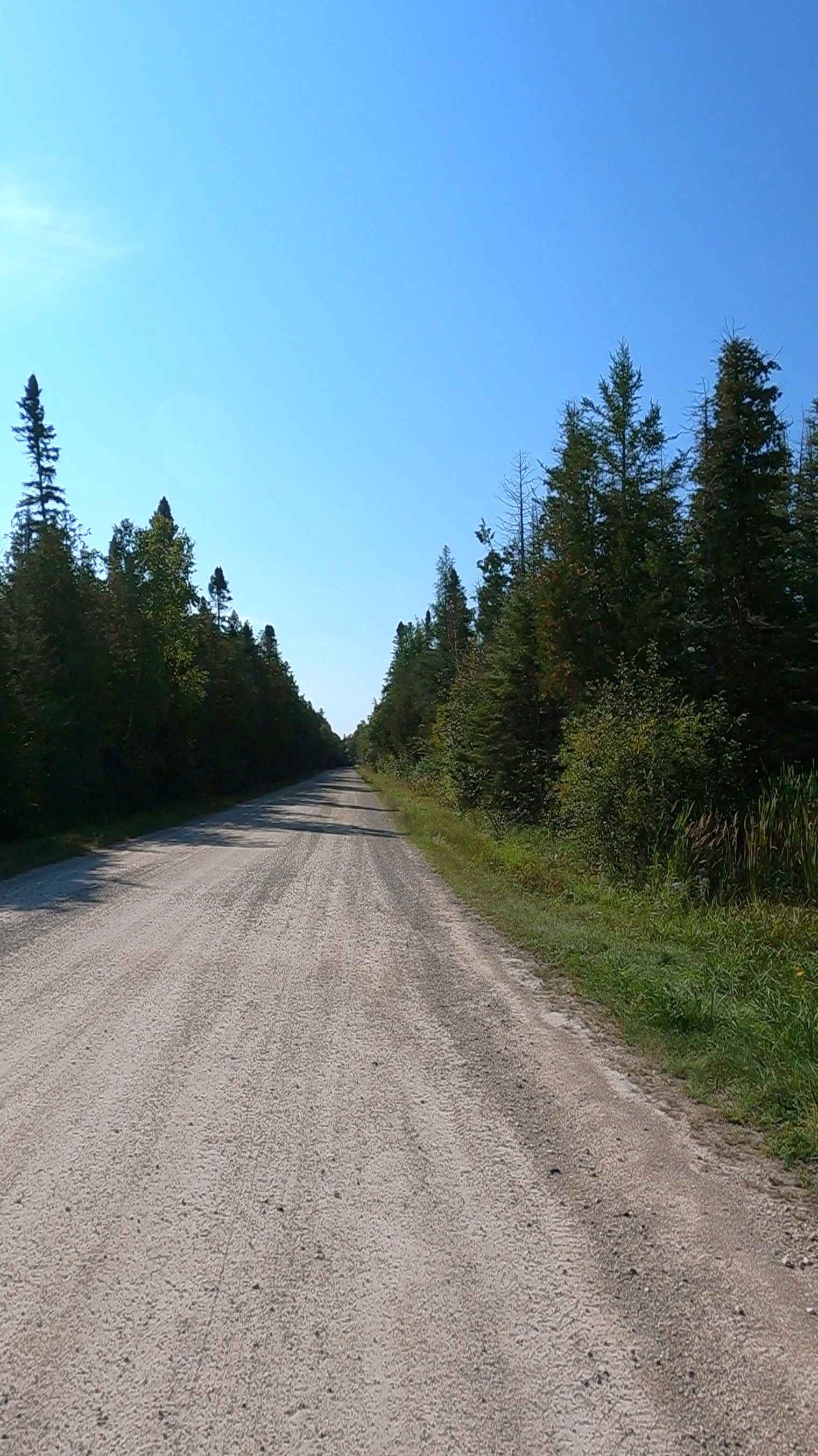 Interstate 75 Access South - FS 3900