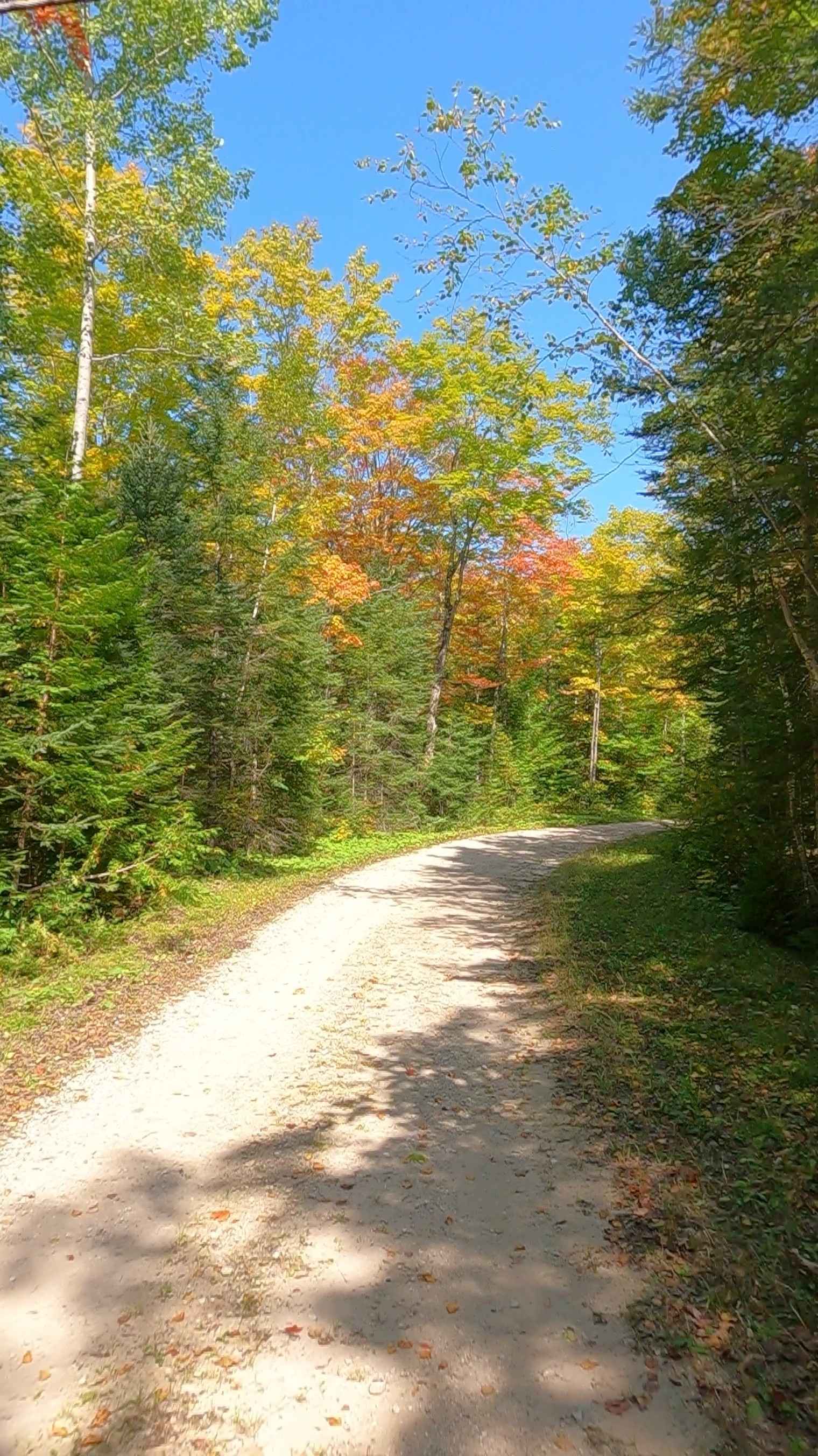 Koski Road - FS 3330