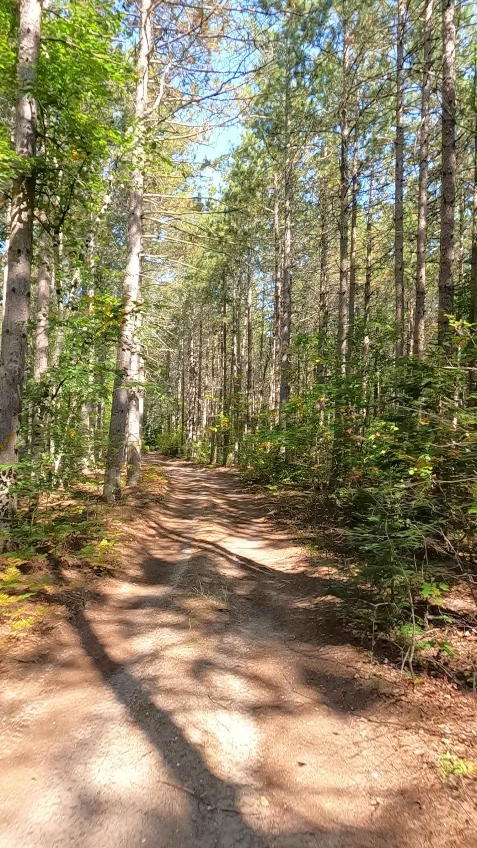 27 Mile Road - FS 3704