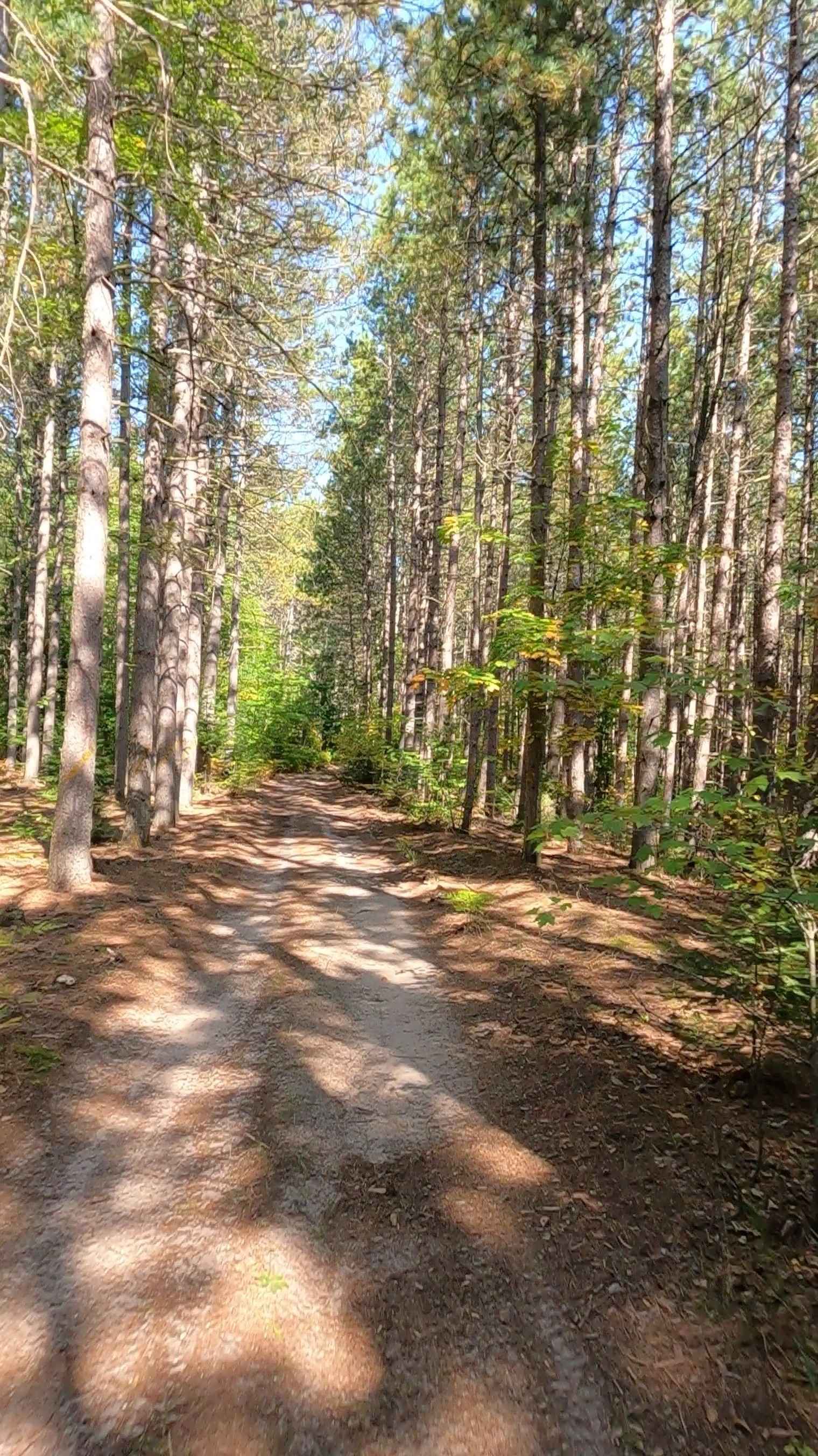 27 Mile Road - FS 3704