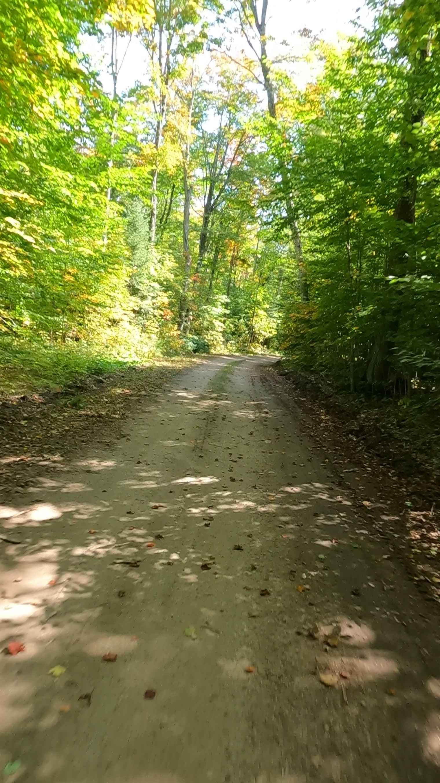 Taylor Creek - FS 3329