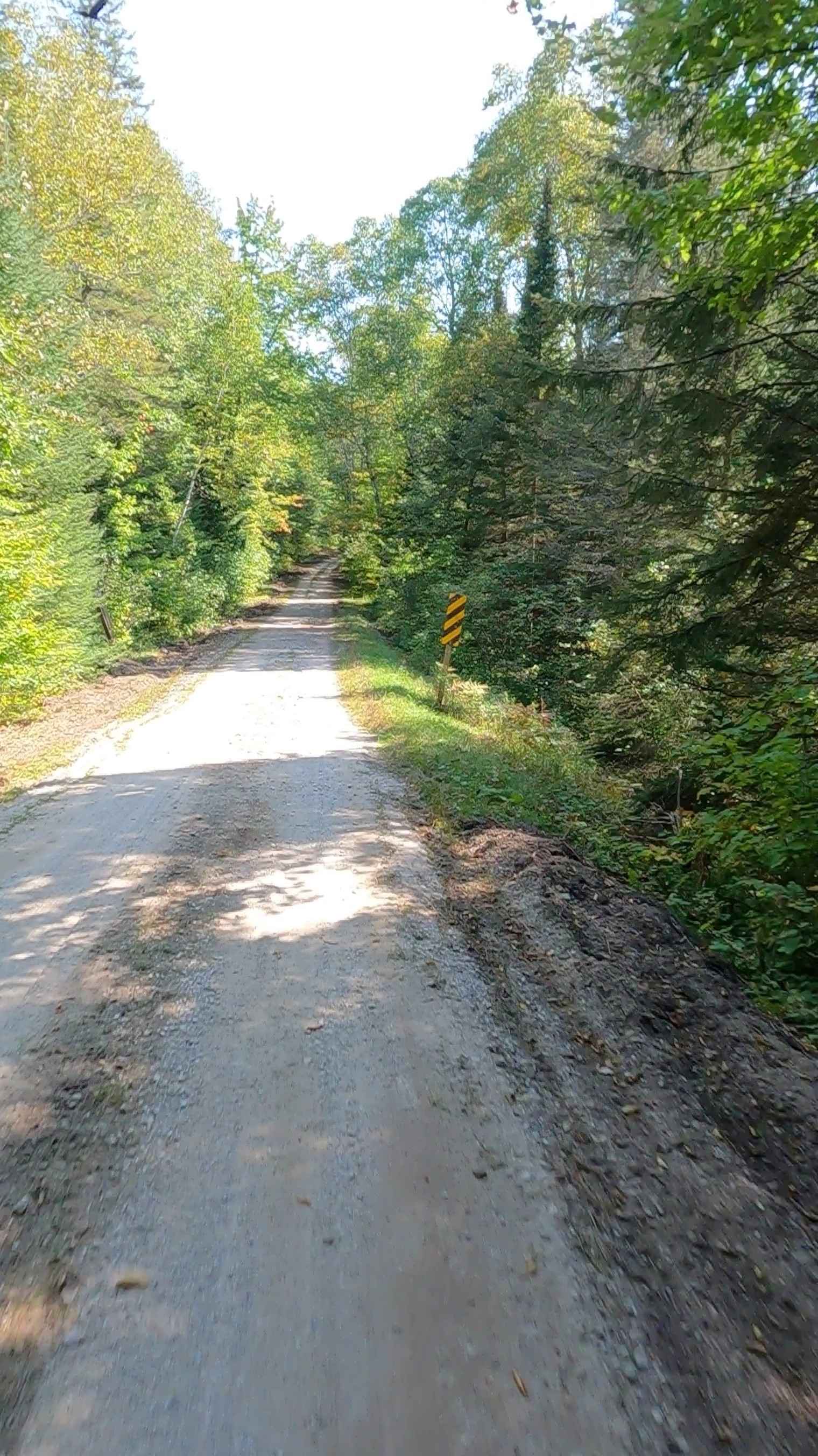 Taylor Creek - FS 3329