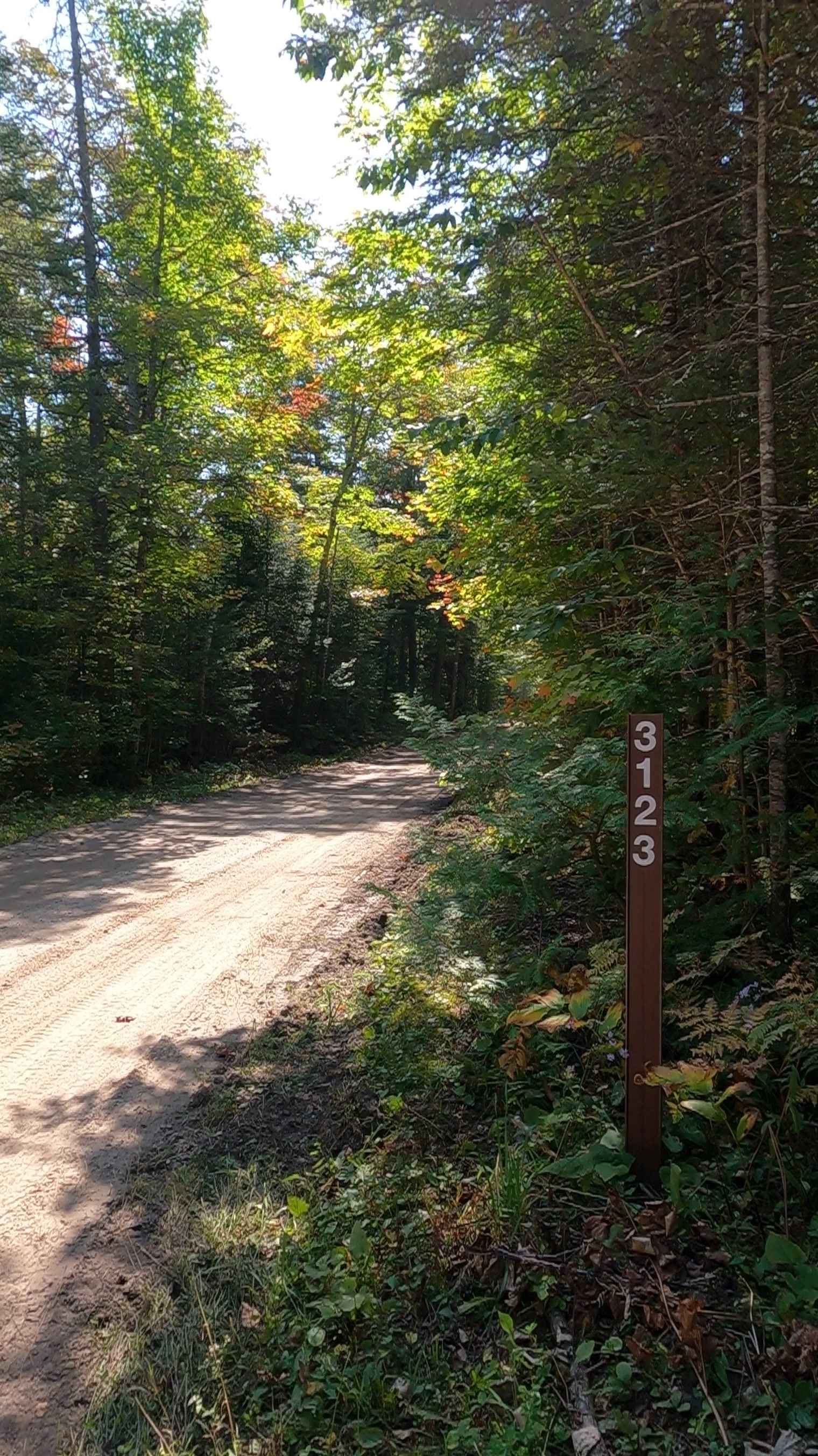 Quarry Road - FS 3123