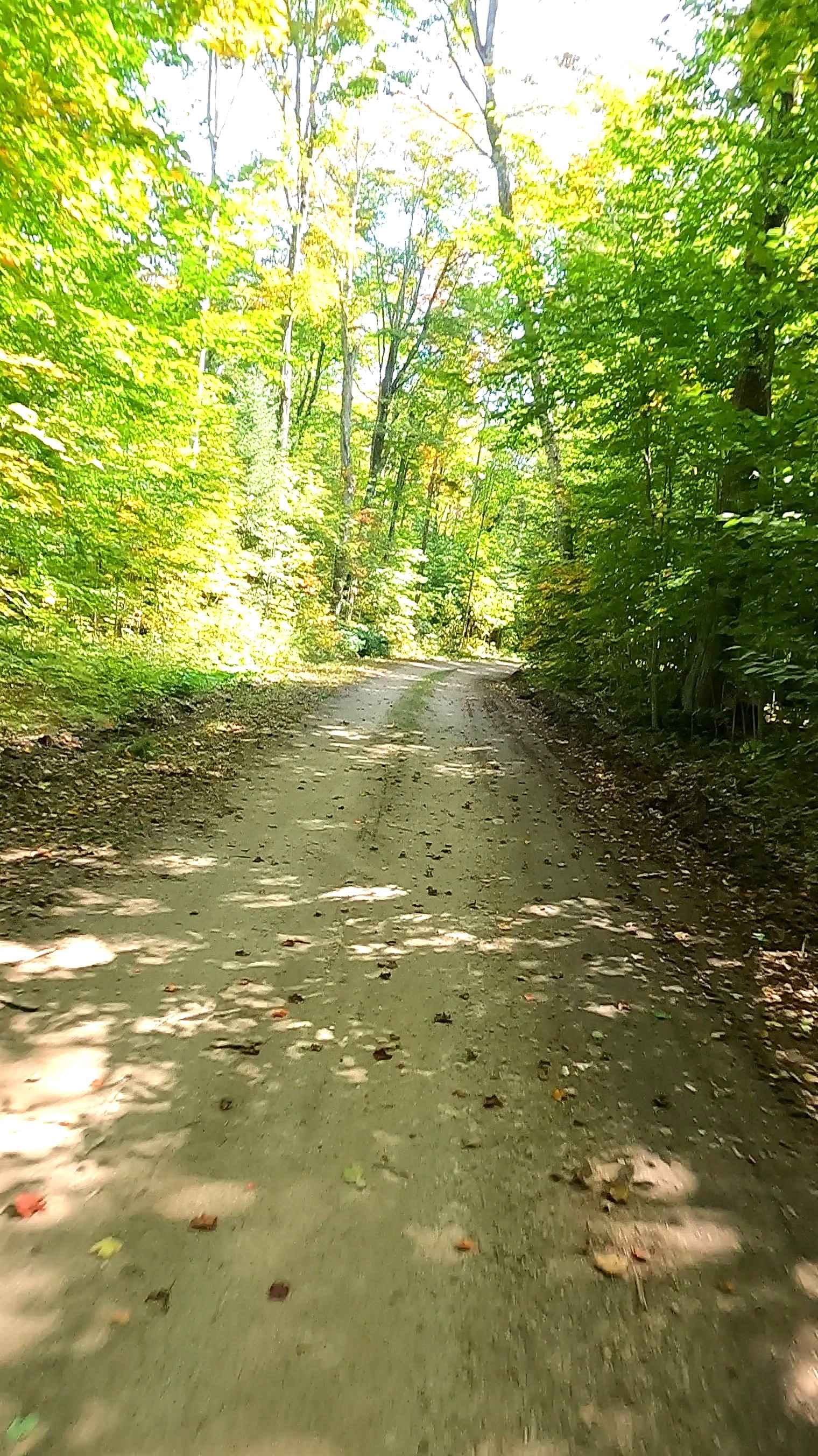 Quarry Road - FS 3123