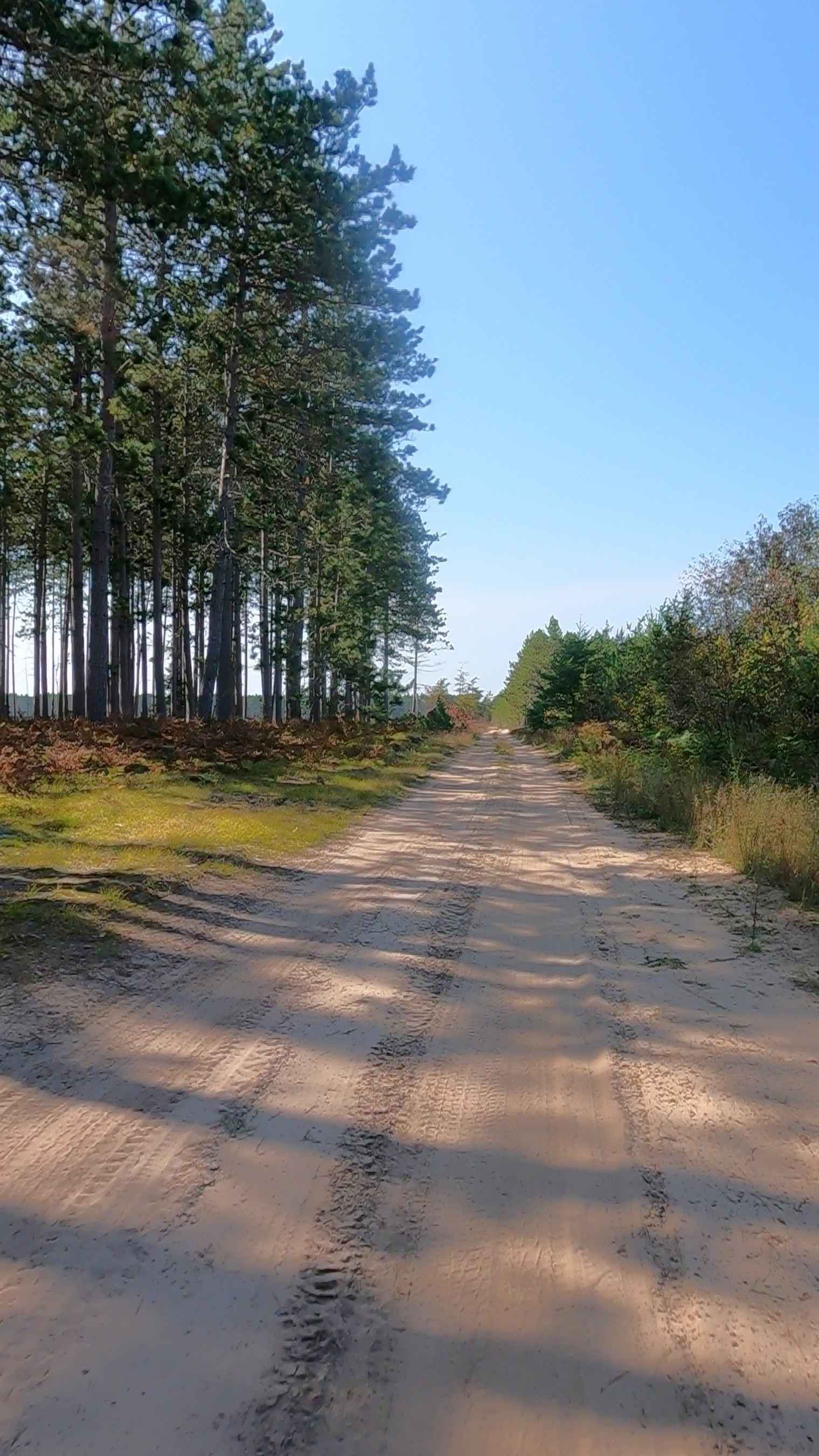 Caffey Truck Trail (ORV Route AI)