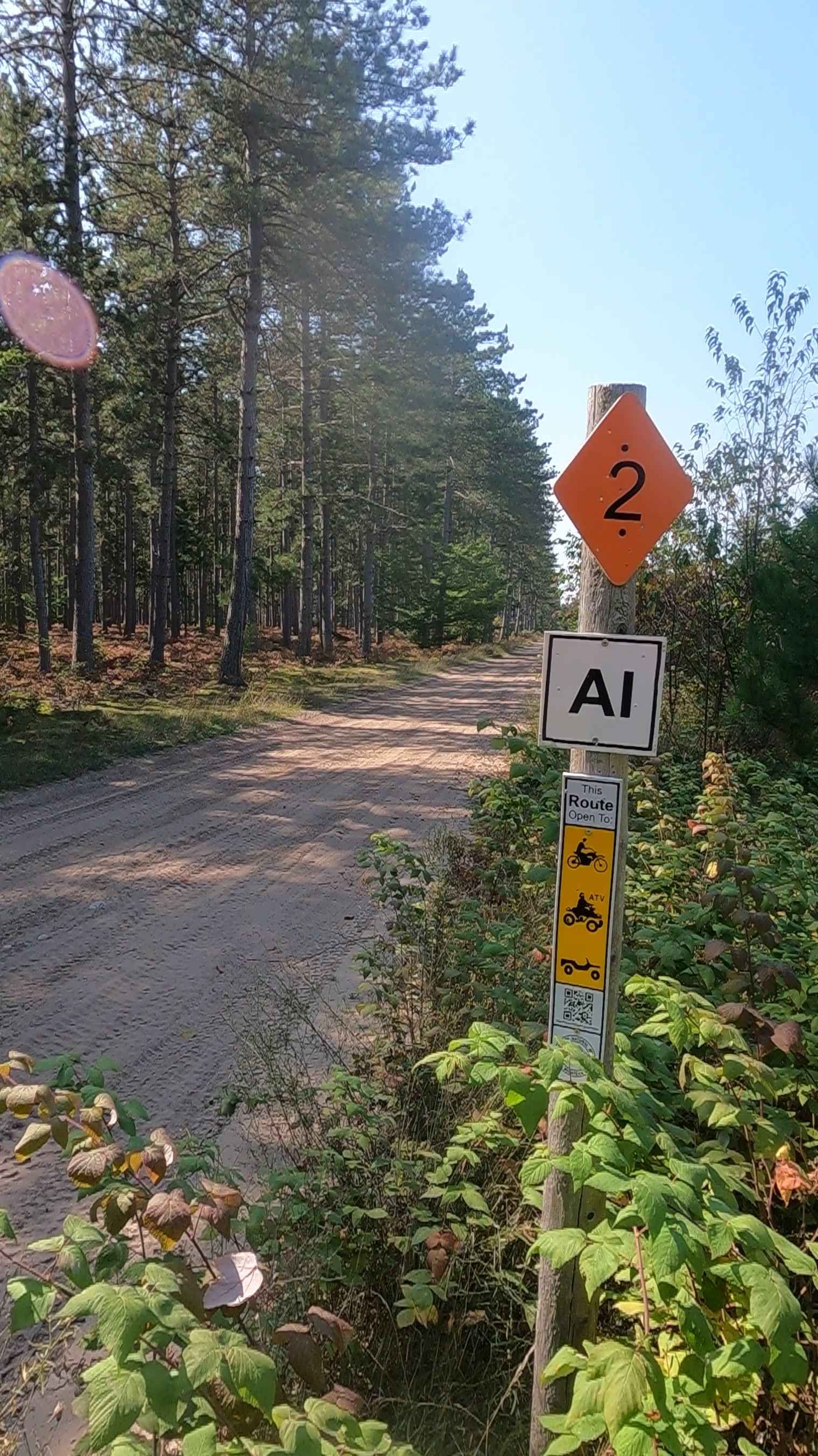 Caffey Truck Trail (ORV Route AI)