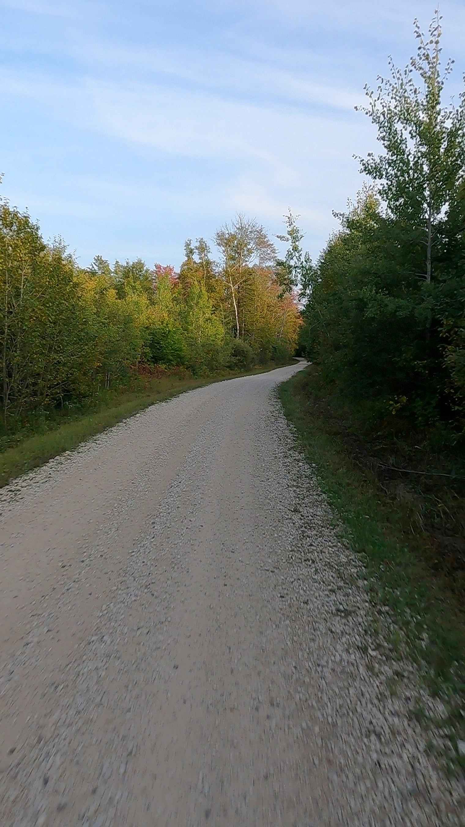 Red Creek Road - FS 3118