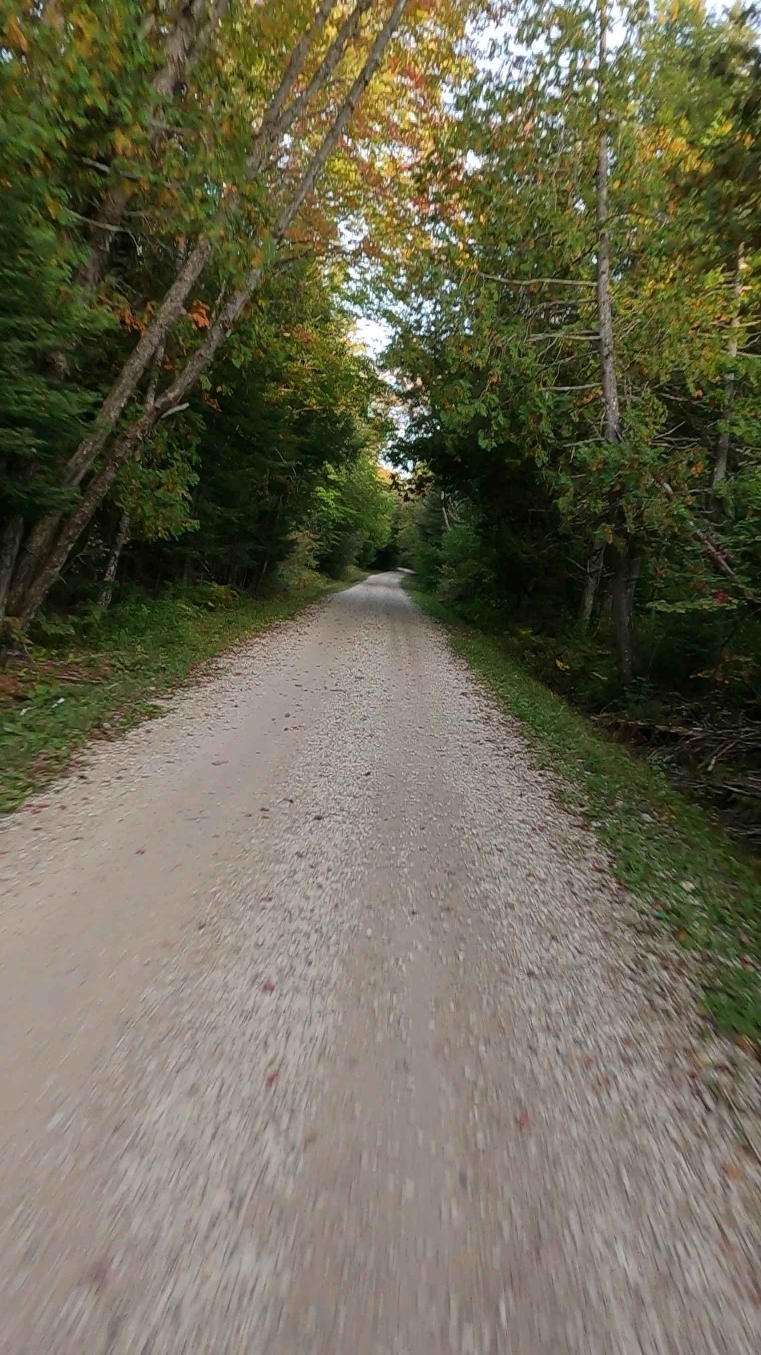 Red Creek Road - FS 3118